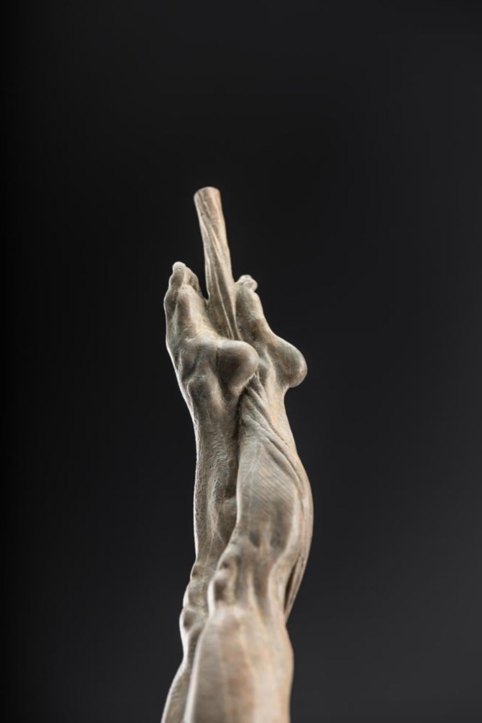 As with Richard MacDonald’s entire Cirque series, Transcendance has many layers of metaphor and meaning to challenge and intrigue viewers. Transcendance is a striking example of Richard MacDonald’s rare gift for capturing the power and vigor of an