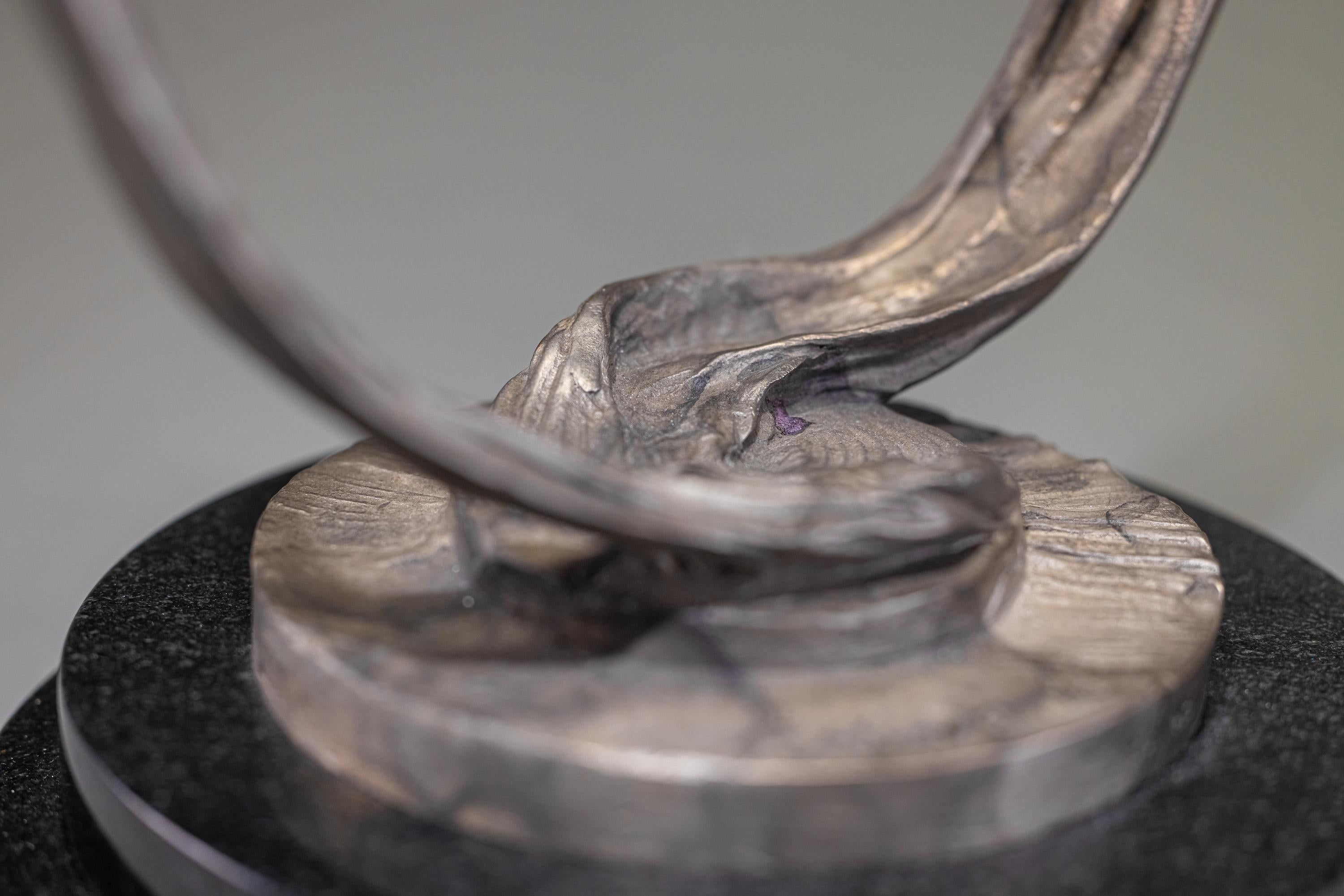 Trascendenza, Atelier, Platino - Sculpture di Richard MacDonald