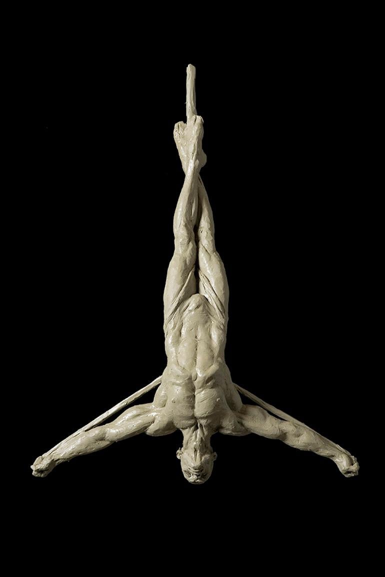 Transzendenz, Platin (Zeitgenössisch), Sculpture, von Richard MacDonald