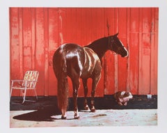 Kahlua-Lerche, fotorealistischer Siebdruck von Richard McLean