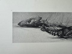 Richard Müller Fish Skeleton & Crustacean Study Lithograph, German Academic Art
