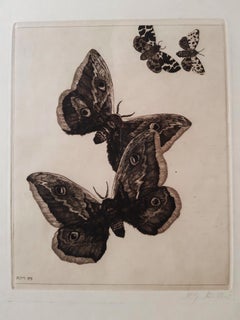 Antique Vier Schmetterlinge - Etching by Richard Muller - 1899