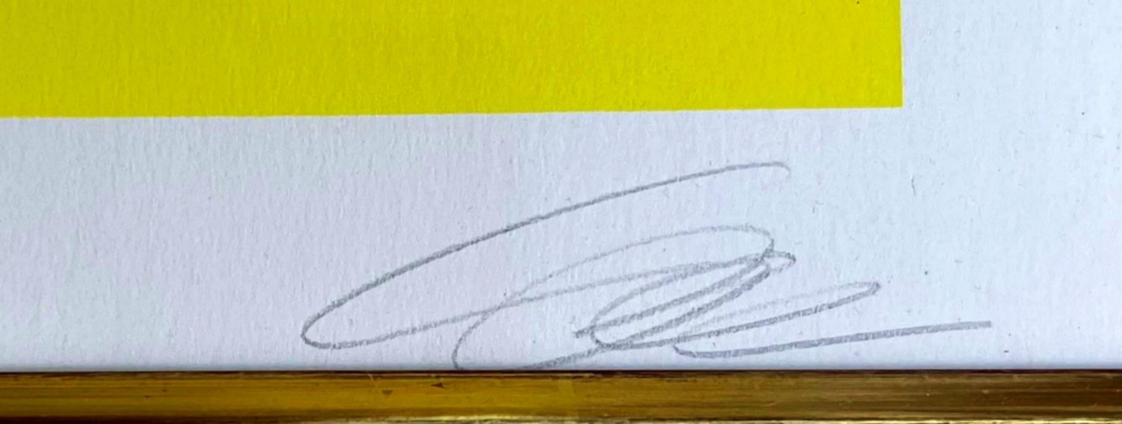 RICHARD PAUL LOHSE
Modulare Ordnungen (eine Platte), 1976
Siebdruck auf Velin-Karton (dünner Karton)
Auf der Vorderseite mit Bleistift signiert und nummeriert 62/100

Der Vintage-Rahmen aus Genf, Schweiz, mit abgeschrägten Goldkanten ist im