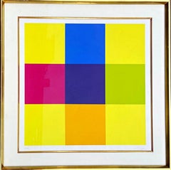 Modulare Ordnungen, astrazione geometrica moderna di metà secolo, serigrafia firmata/N