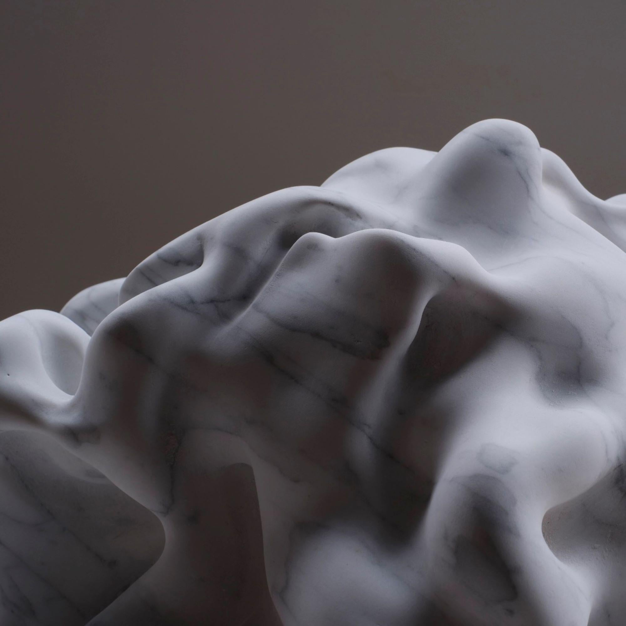 Ghost By Richard Perry - Abstract sculpture, organic forms, Carrara marble For Sale 8