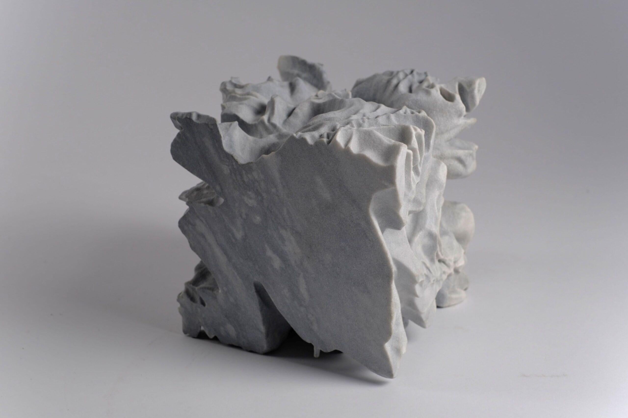 Moth von Richard Perry – Organische Form, abstrakte Skulptur, Bardiglio-Marmorskulptur im Angebot 4