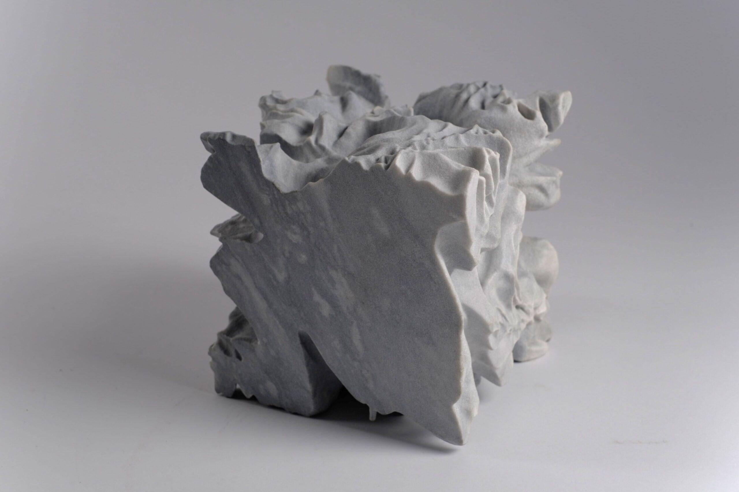 Moth by Richard Perry - Organic form, abstract sculpture, Bardiglio marble, grey For Sale 4
