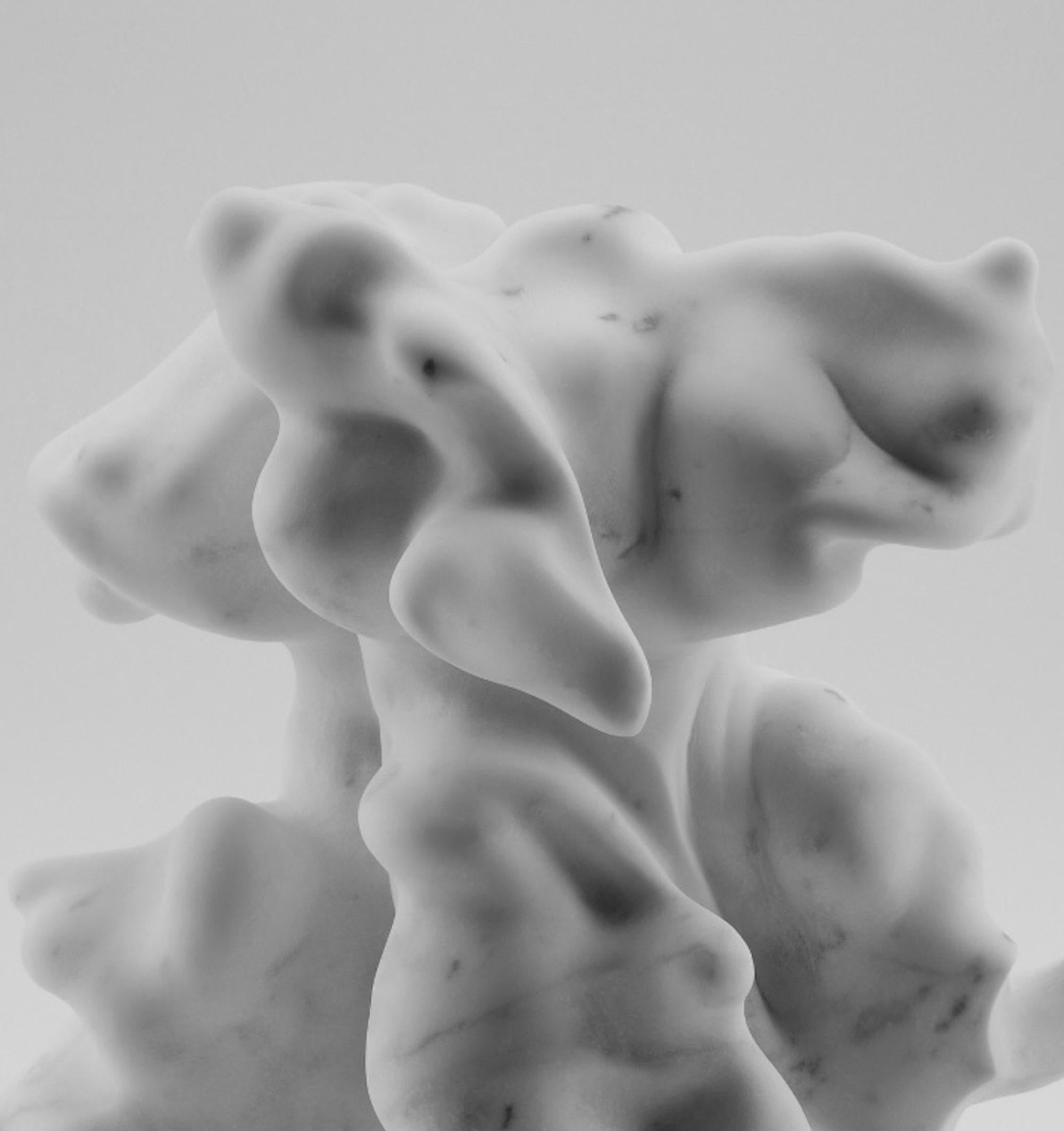 Sculpture organique et abstraite Selene de Richard Perry, marbre de Carrare, blanc en vente 2