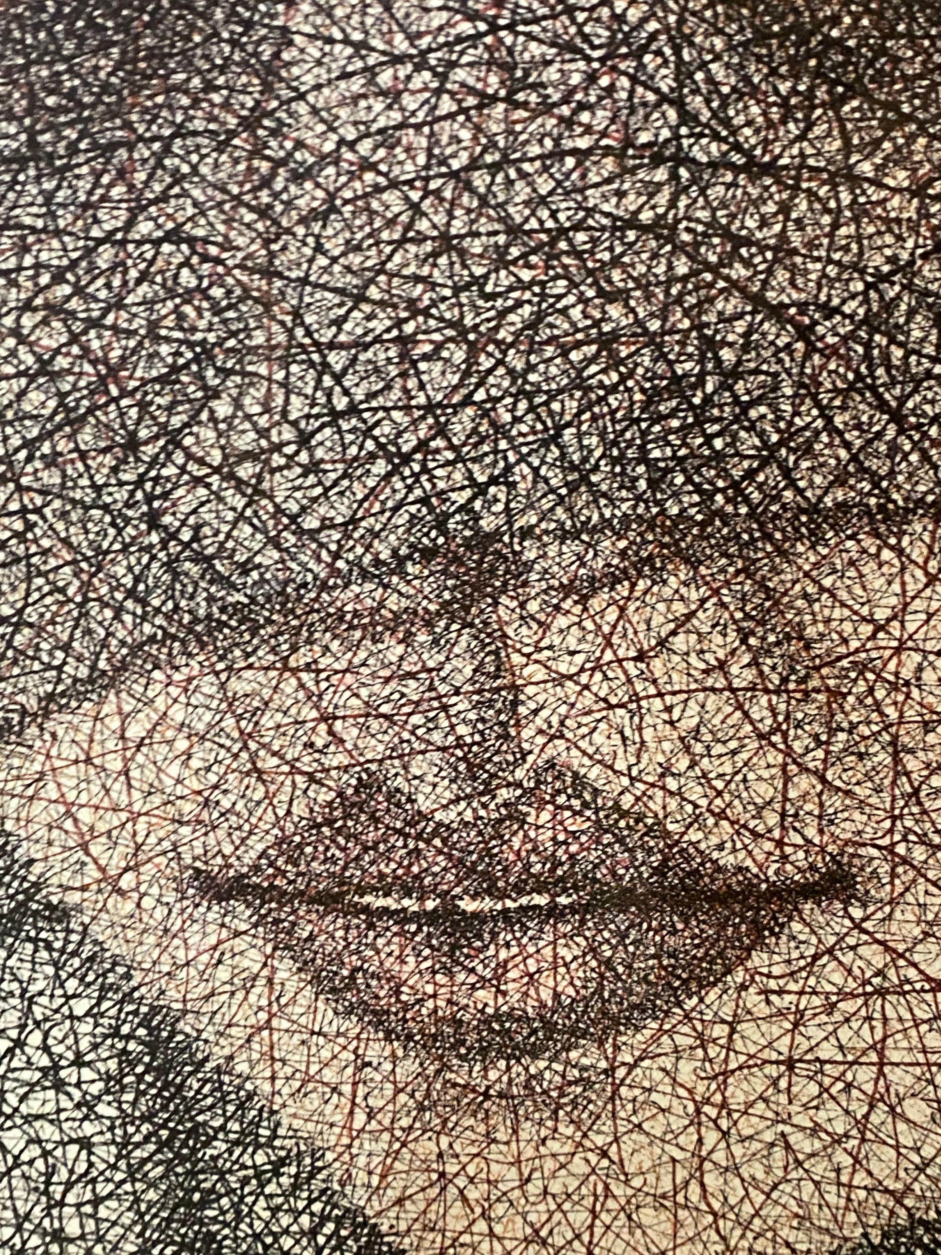 Robert costruisce i suoi ritratti con un intreccio di tratti brevi, stretti e aggrovigliati, disegnati con meticolosa regolarità. Il disegno non segue una linea continua: è composto da intersezioni, fessure multiple e ripetizioni. 
Il colore segue