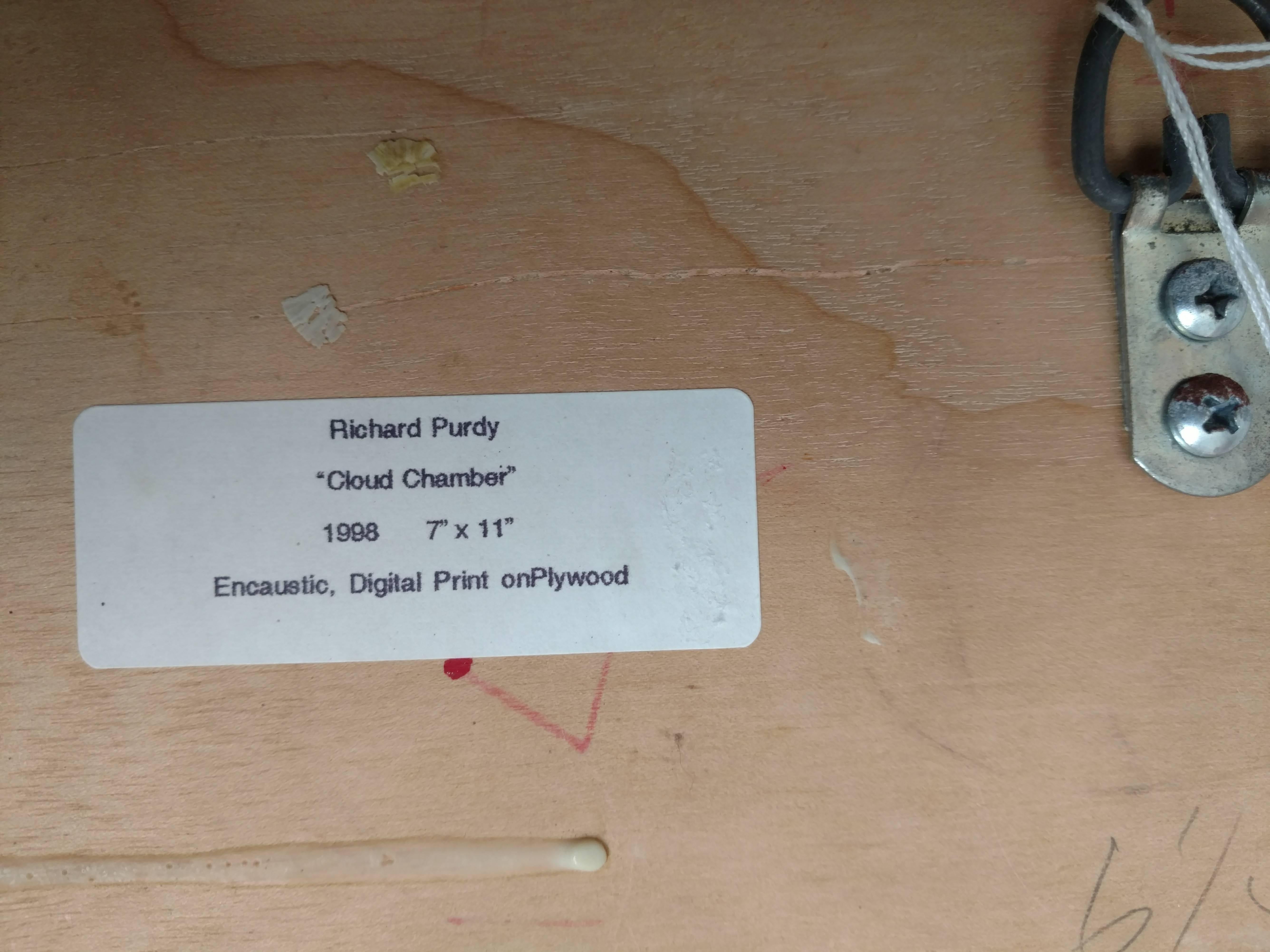 Cloud Chamber, Encaustic and Digital Print on Plywood For Sale 2