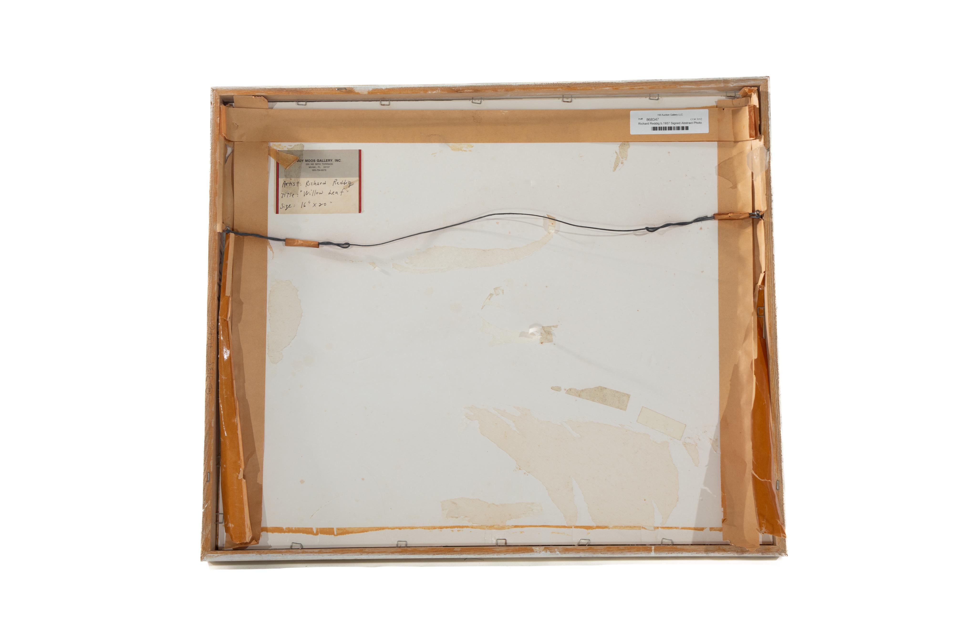 Peinture Richard Reddig, Photo d'art abstrait signée 