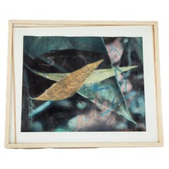 Richard Reddig, Foto Arte Abstracto Firmado "Hoja de Sauce"