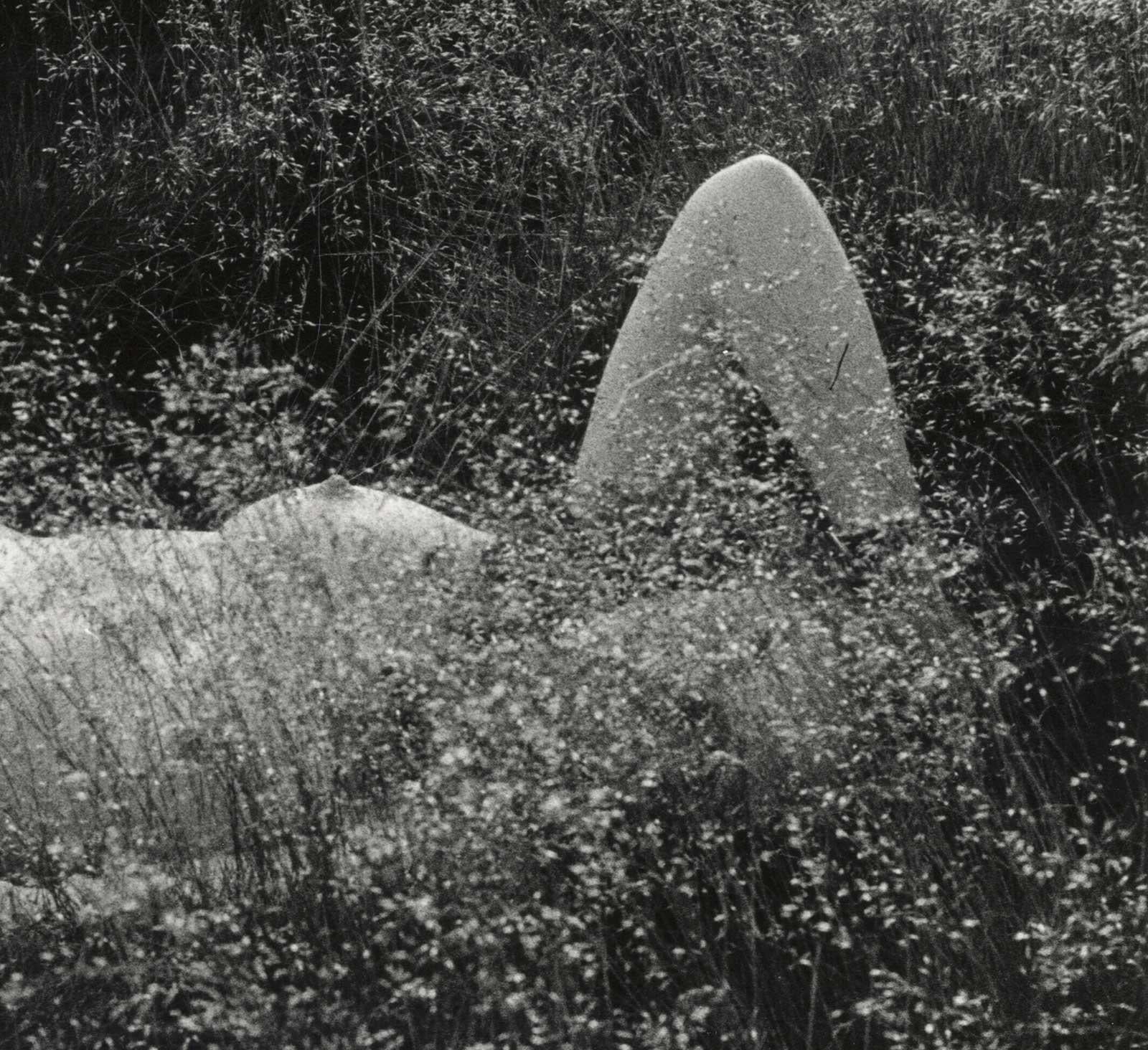 Enicce (Young nude woman lying horizontally in a field of wildflowers) - Photograph by Richard Sadler