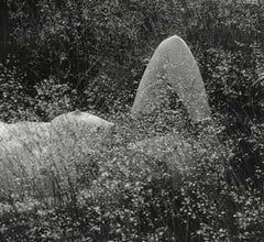 Enicce (Young nude woman lying horizontally in a field of wildflowers)