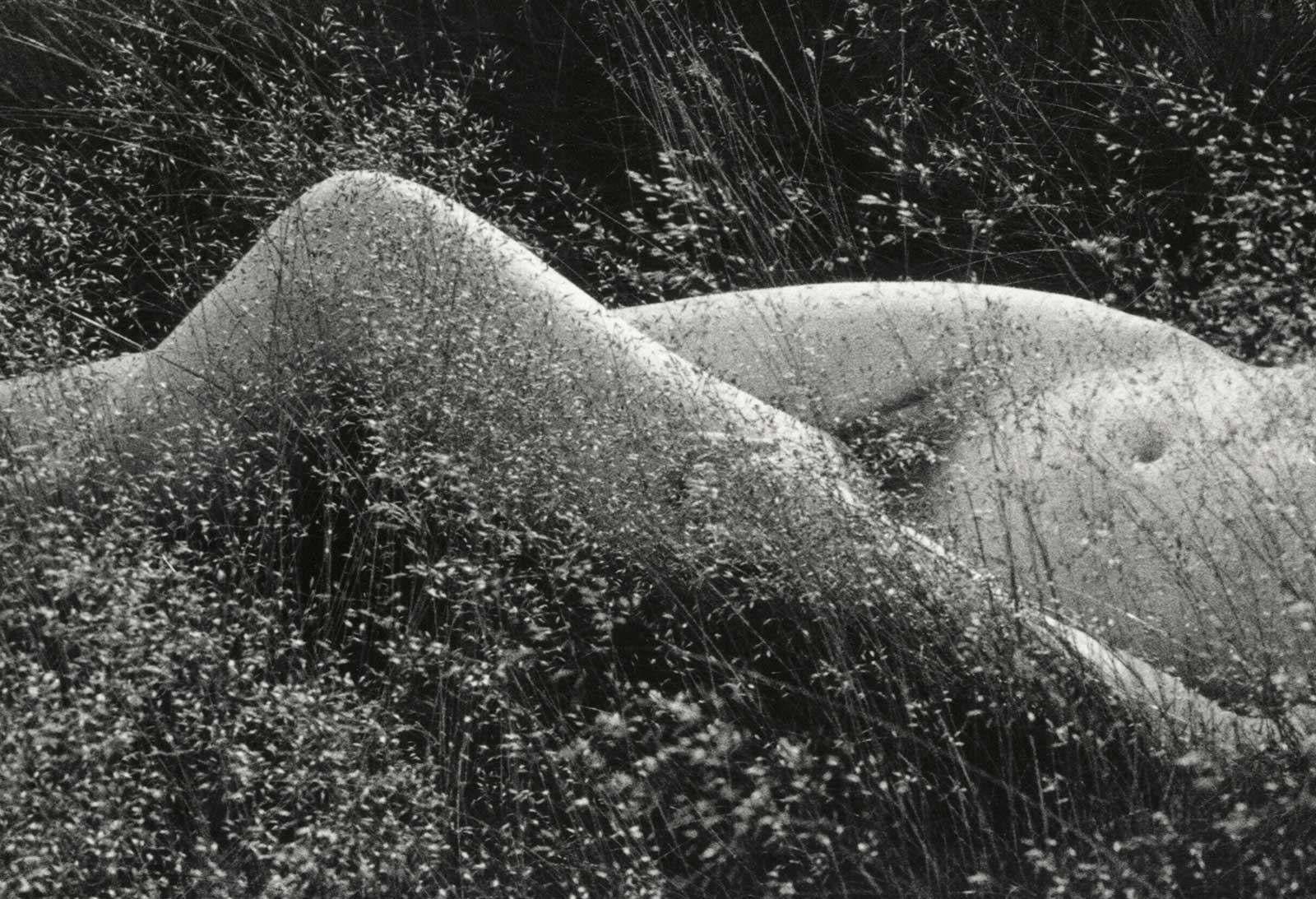 kelly sadler nude