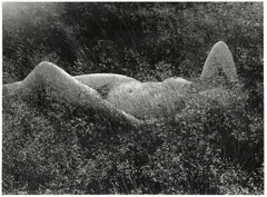 Vintage Enicce (Young nude woman lying horizontally in a field of wildflowers)