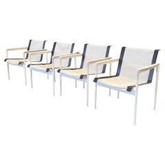 Dining Room Chairs
