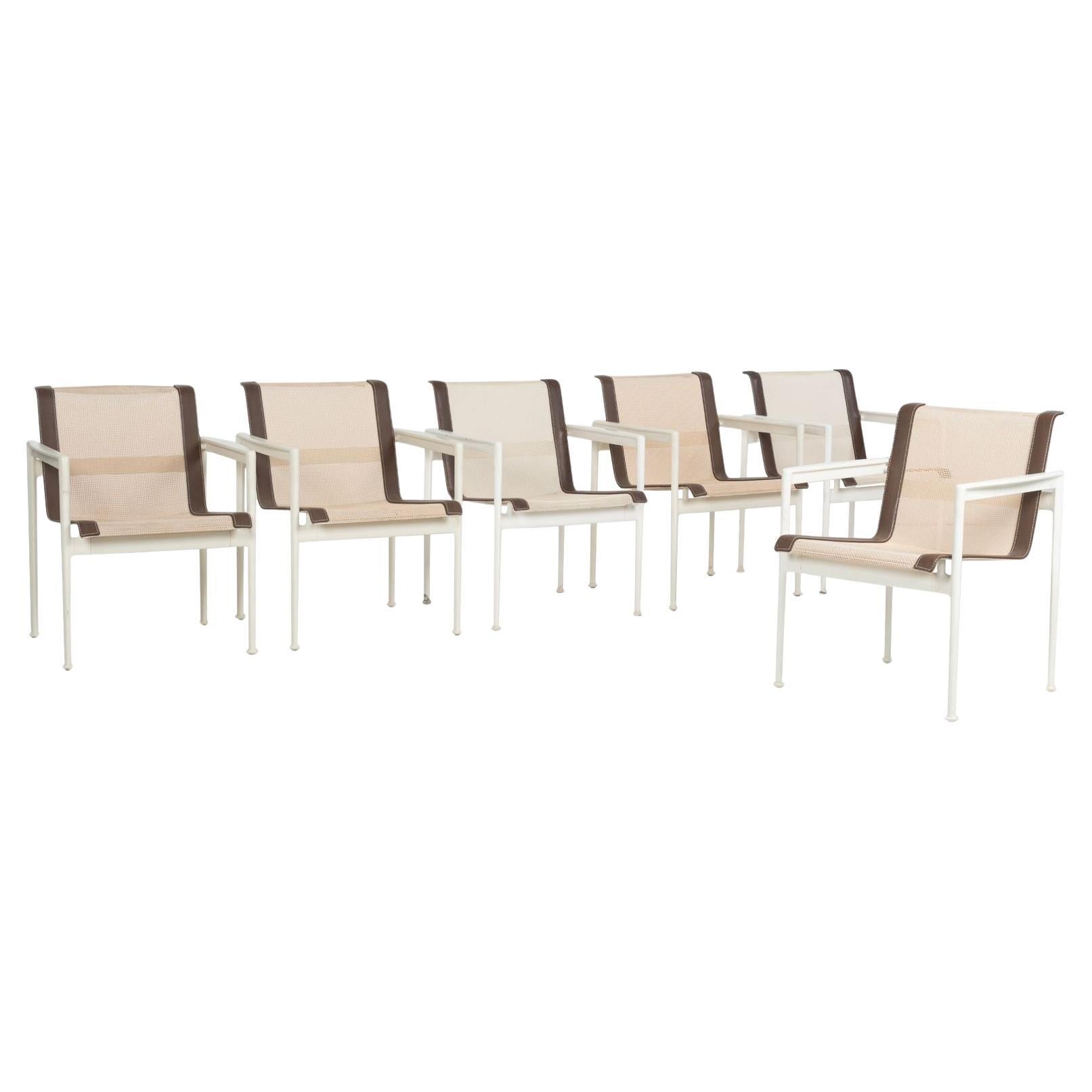 Richard Schultz pour Knoll Ensemble de six chaises de salle à manger - années 1960
