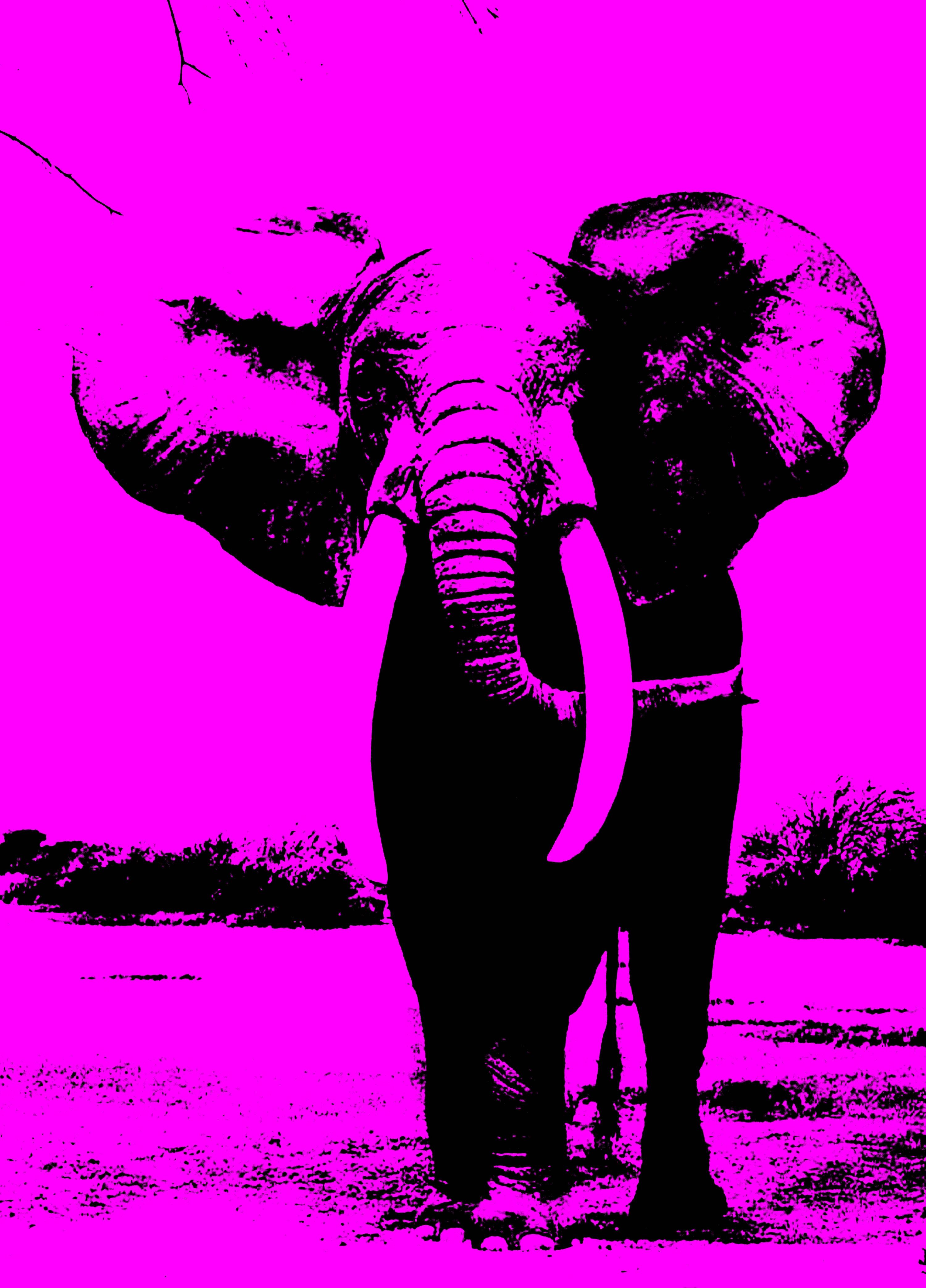 Richard Scudder, Pink Elephant. Hand Signed And Numbered By The Artist. Multi Colored Serigraph.  

:: Hand Printed Work :: Modern :: This piece comes with an official certificate of authenticity signed by the artist :: Ready to Hang: Yes :: Signed: