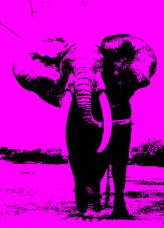 Pink Elephant, Hand Printed Work, Screen