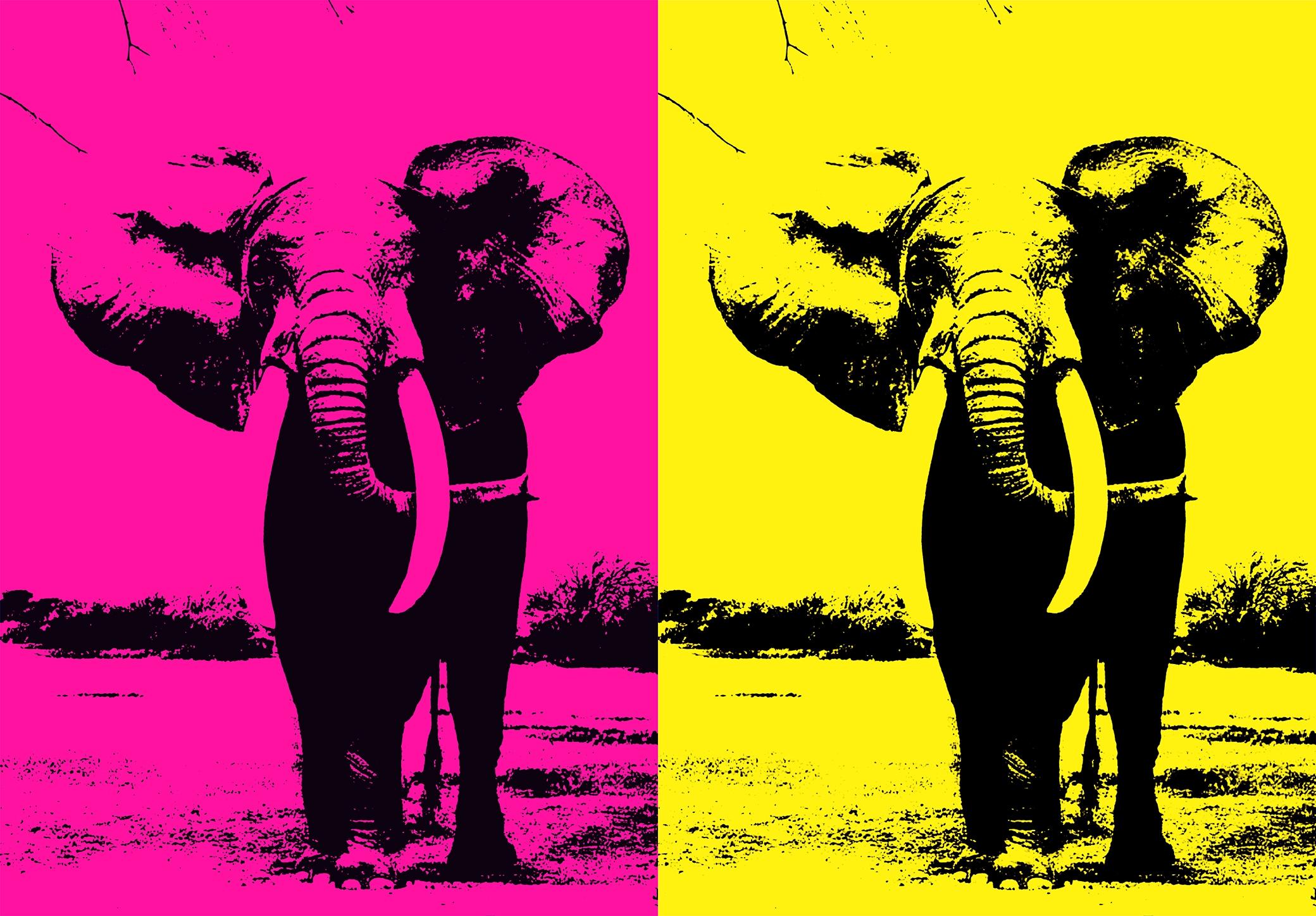 Richard Scudder, Two Elephant - In Pink & Yellow. Hand Signed And Numbered By The Artist. Multi Colored Serigraph 

:: Hand Printed Work :: Pop-Art :: This piece comes with an official certificate of authenticity signed by the artist :: Ready to