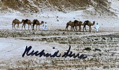 East-West/West-East in Brouq Nature Reserve Qatar (Hand Signed by Richard Serra)