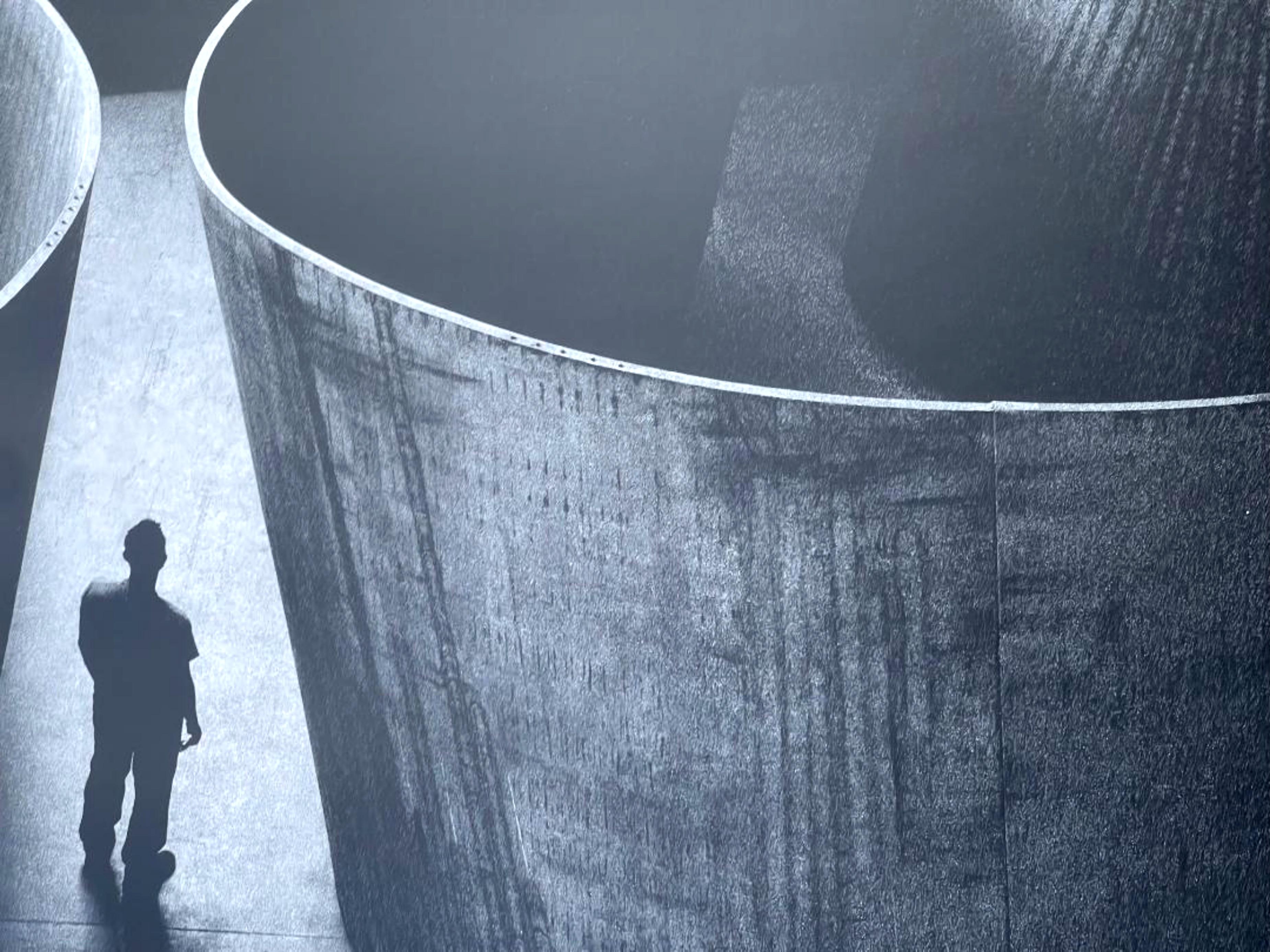 Inside Out (Signé à la main) - Noir Interior Print par Richard Serra