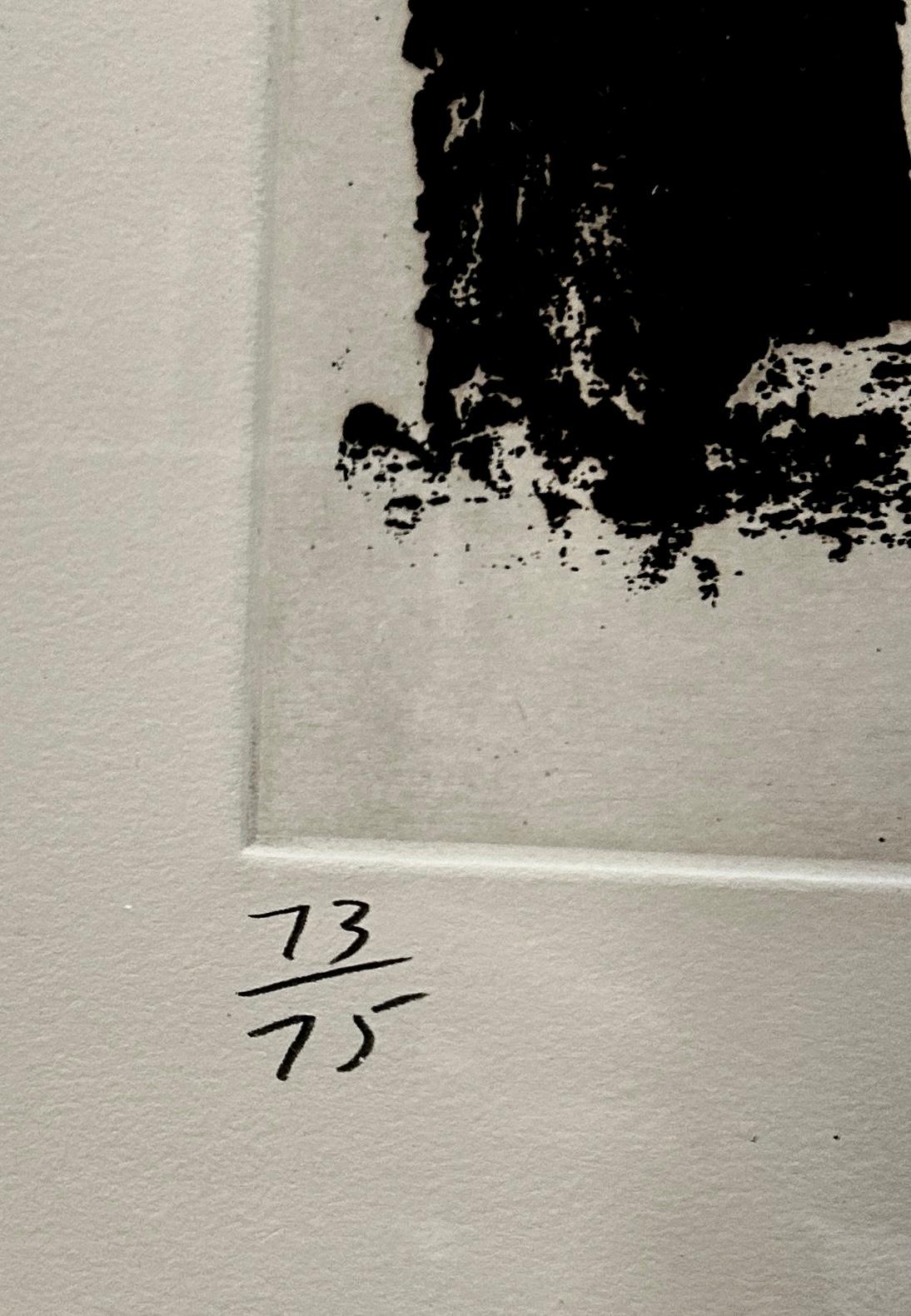 Richard Serra 'Videy Afangar #6' Limited Edition, Signed Etching Print For Sale 4