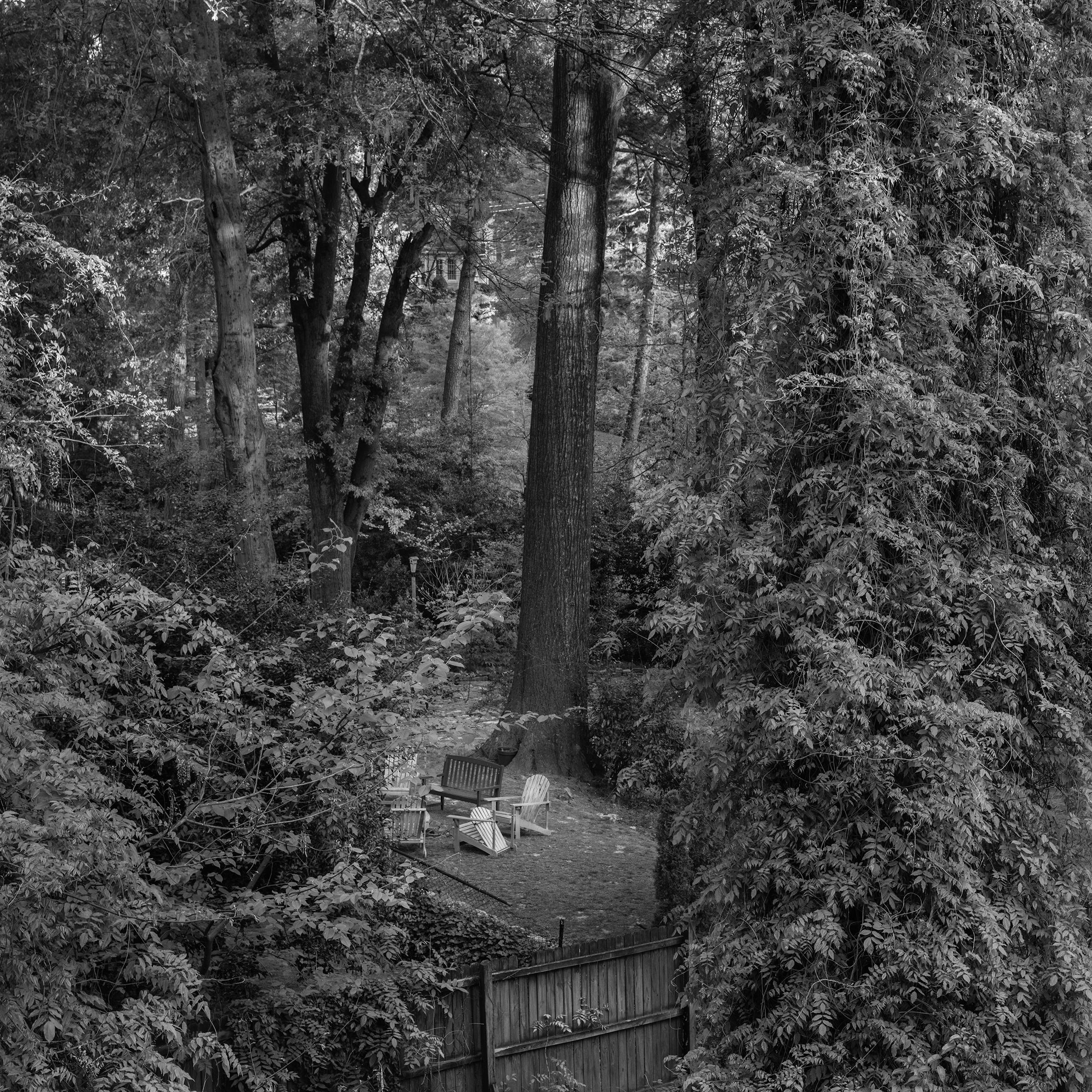 Richard Skoonberg Landscape Photograph - 'Midtown Garden Party' - black and white - landscape photography  - back yard