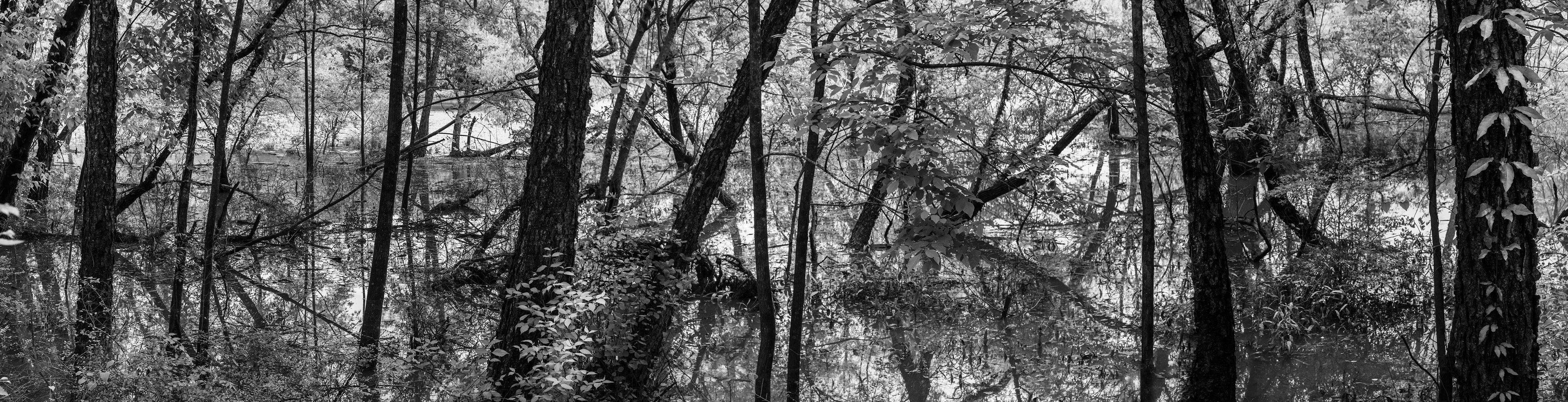 Black and White Photograph Richard Skoonberg - Photographie de paysage en noir et blanc « Printemps sur la Chattahoochee » - Eliot Porter