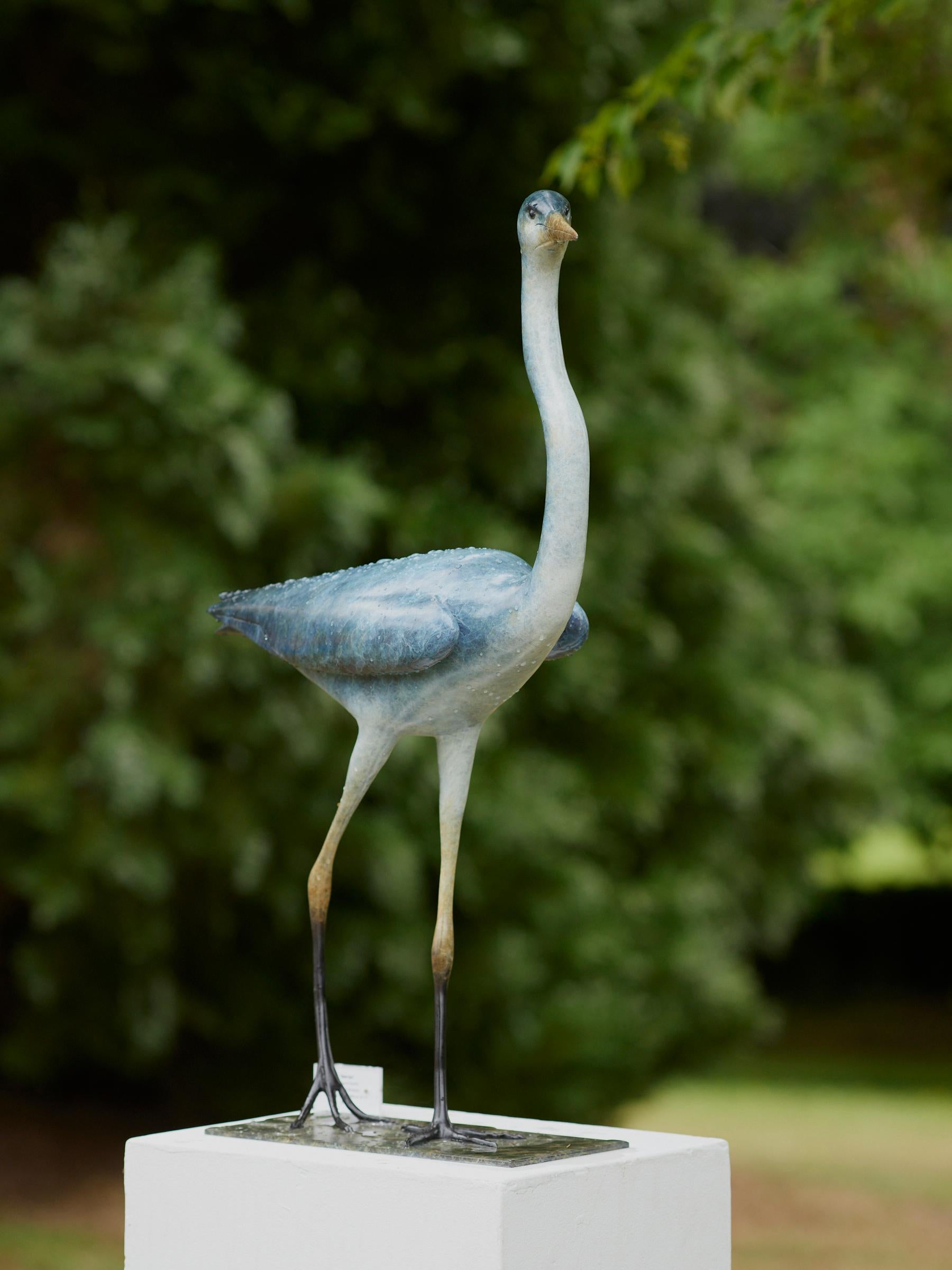Scultura contemporanea in bronzo di un airone blu, fauna selvatica, vita acquatica - Sculpture Contemporaneo di Richard Smith b.1955