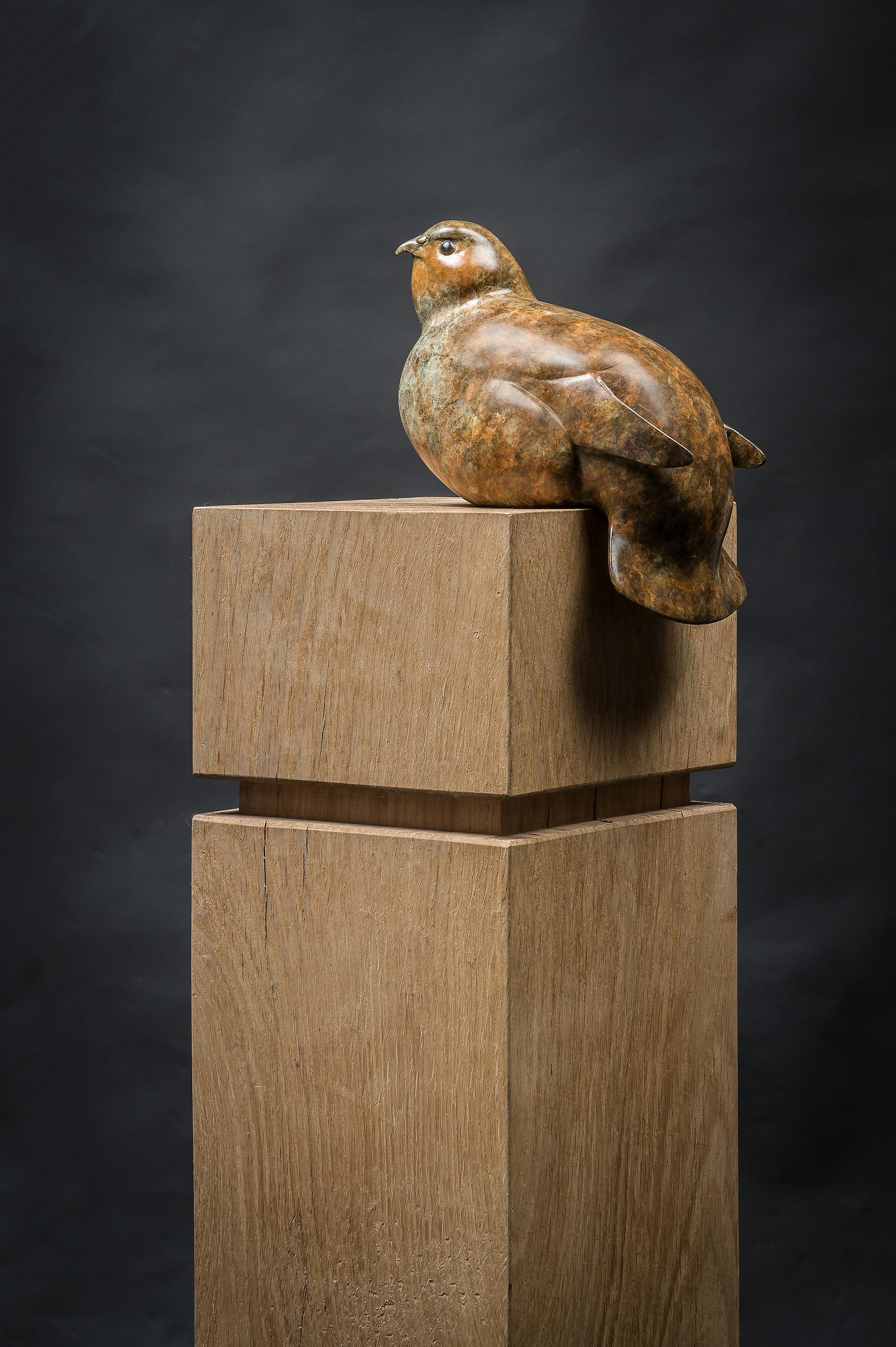 Escultura contemporánea de bronce de aves silvestres 'Perdiz posada', fauna silvestre - Sculpture de Richard Smith b.1955