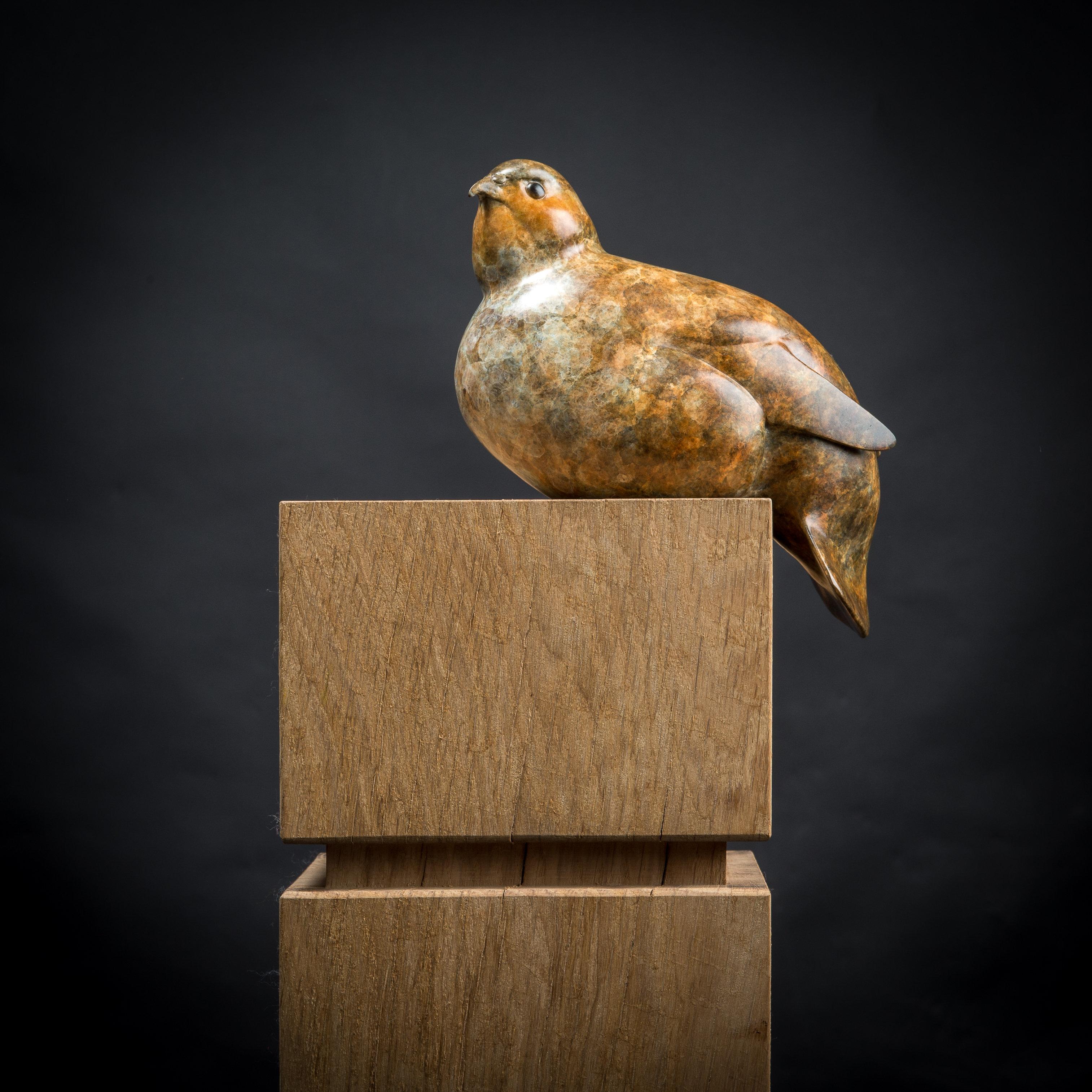 Contemporary Bronze Bird Wildlife Sculpture 'Perch Partridge' by Richard Smith For Sale 1