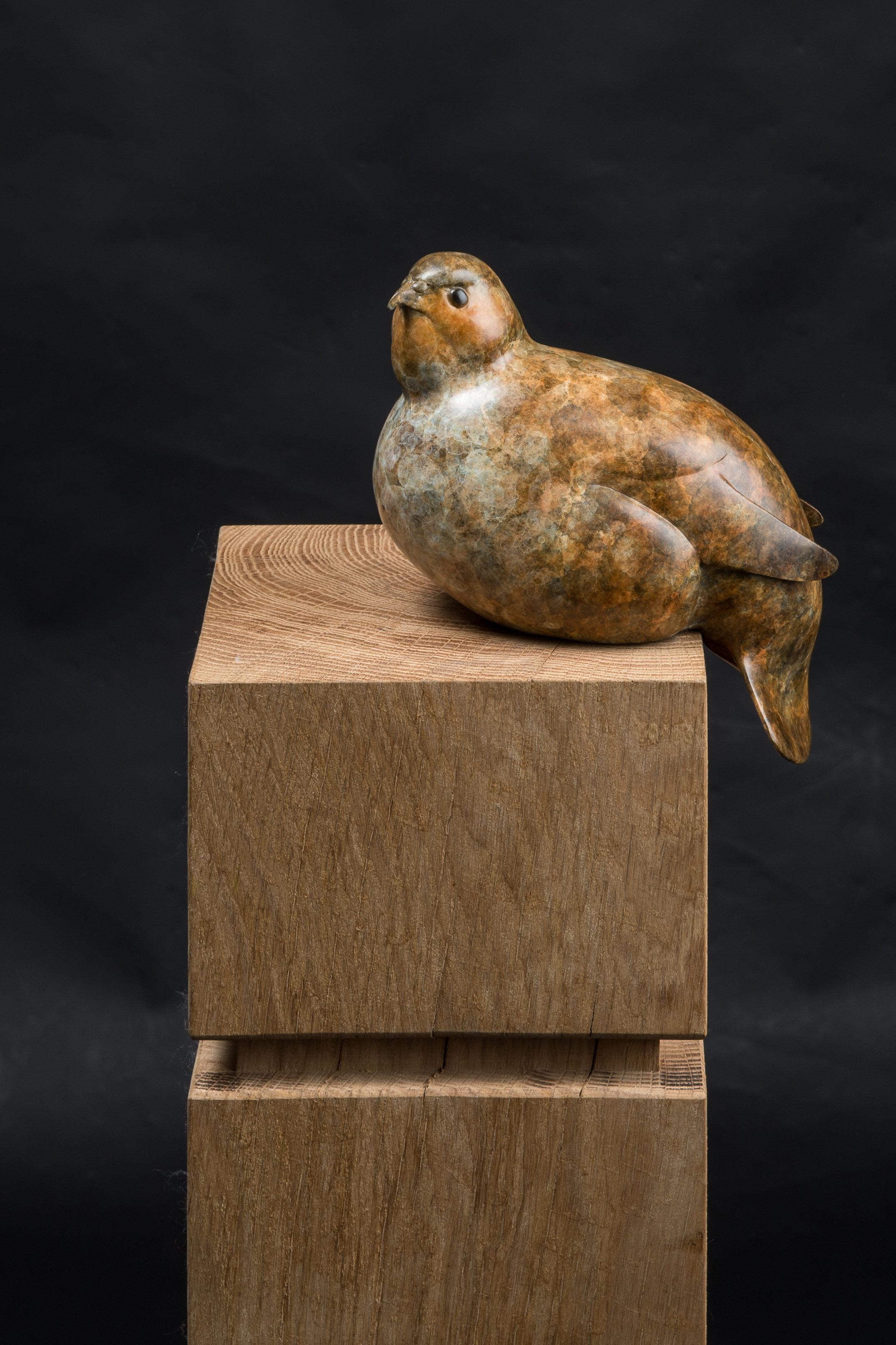 Contemporary Bronze Bird Wildlife Sculpture 'Perch Partridge' by Richard Smith For Sale 2