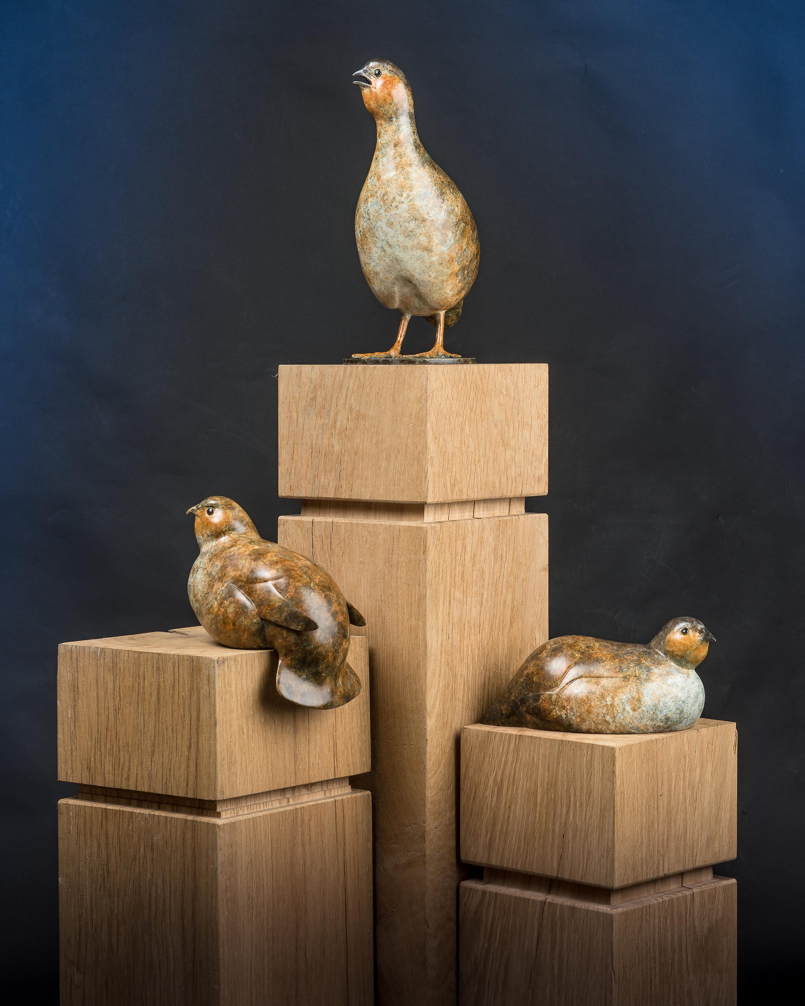 Contemporary Bronze Bird Wildlife Sculpture 'Perch Partridge' by Richard Smith For Sale 5