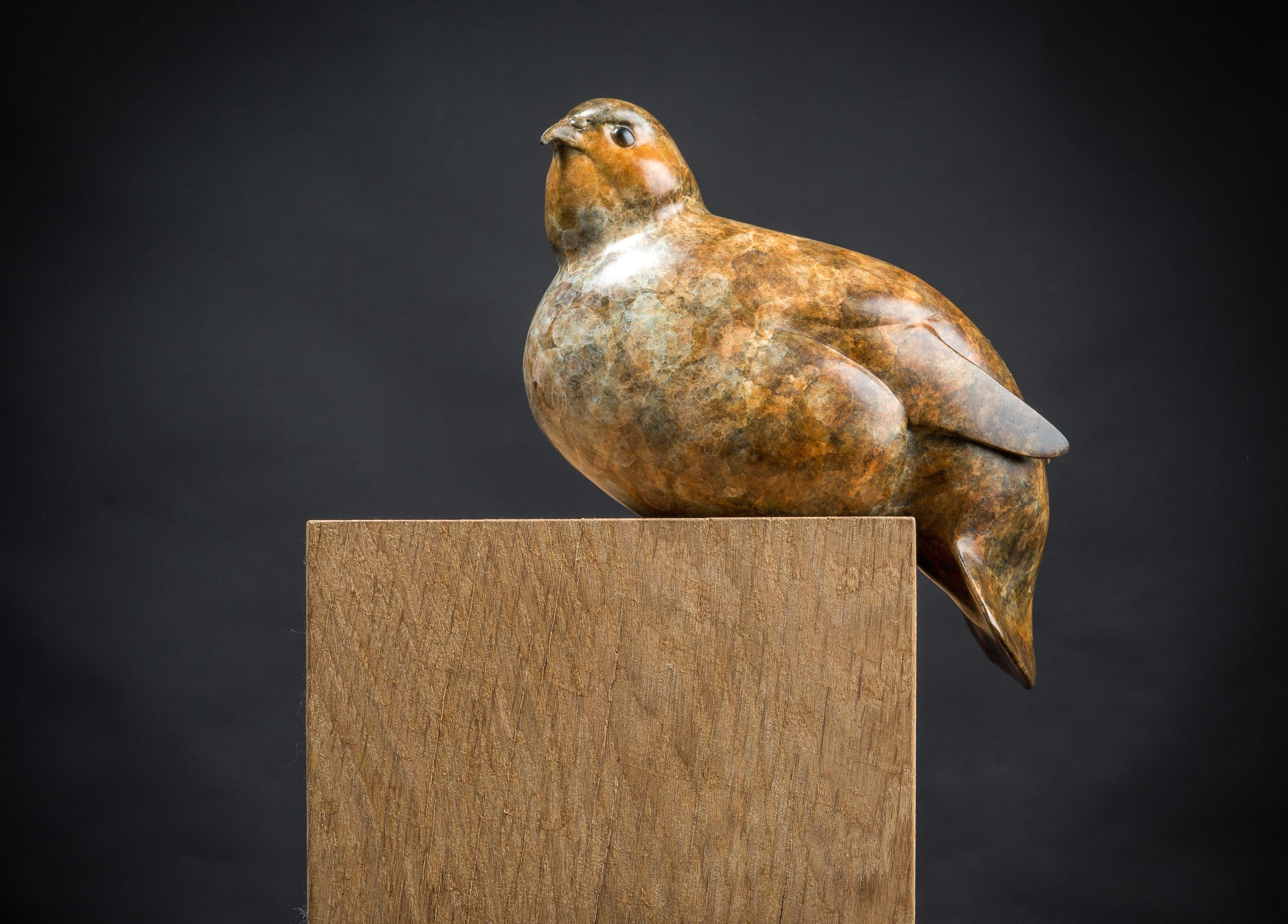 Richard Smith b.1955 Figurative Sculpture - Contemporary Bronze Bird Wildlife Sculpture 'Perching Partridge', wildlife