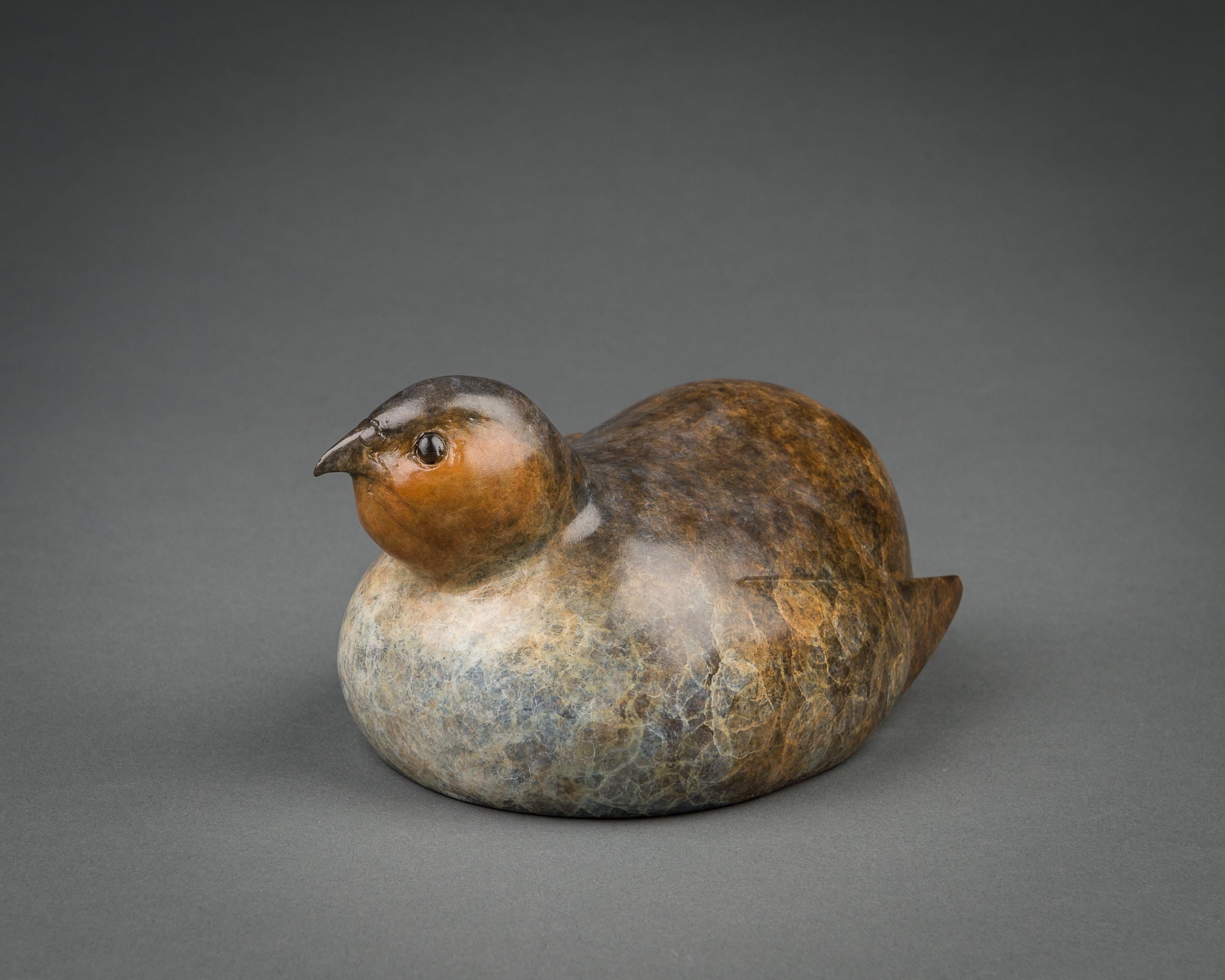 Richard Smith b.1955 Figurative Sculpture - Contemporary Bronze Bird Wildlife Sculpture 'Seated Partridge' by Richard Smith