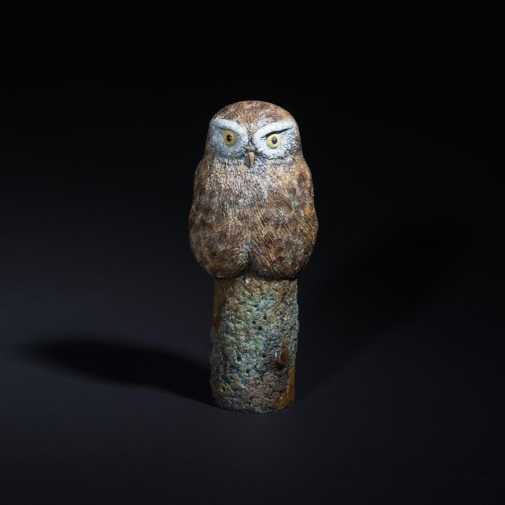 Sculpture de bureau contemporaine en bronze Petite chouette, faune, nature, animaux oiseaux - Or Still-Life Sculpture par Richard Smith b.1955