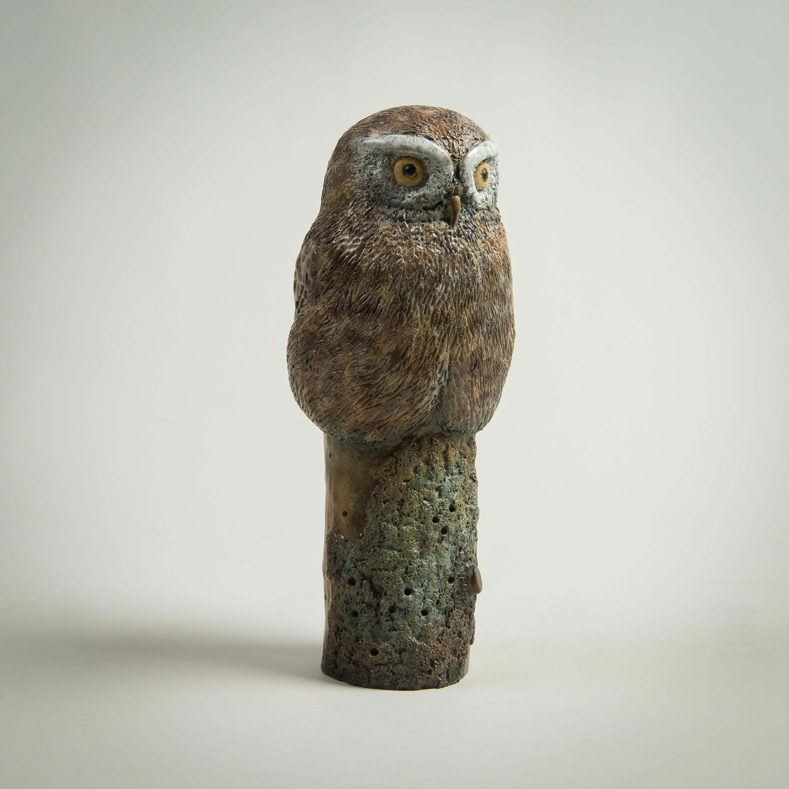 Sculpture de bureau contemporaine en bronze Petite chouette, faune, nature, animaux oiseaux en vente 2