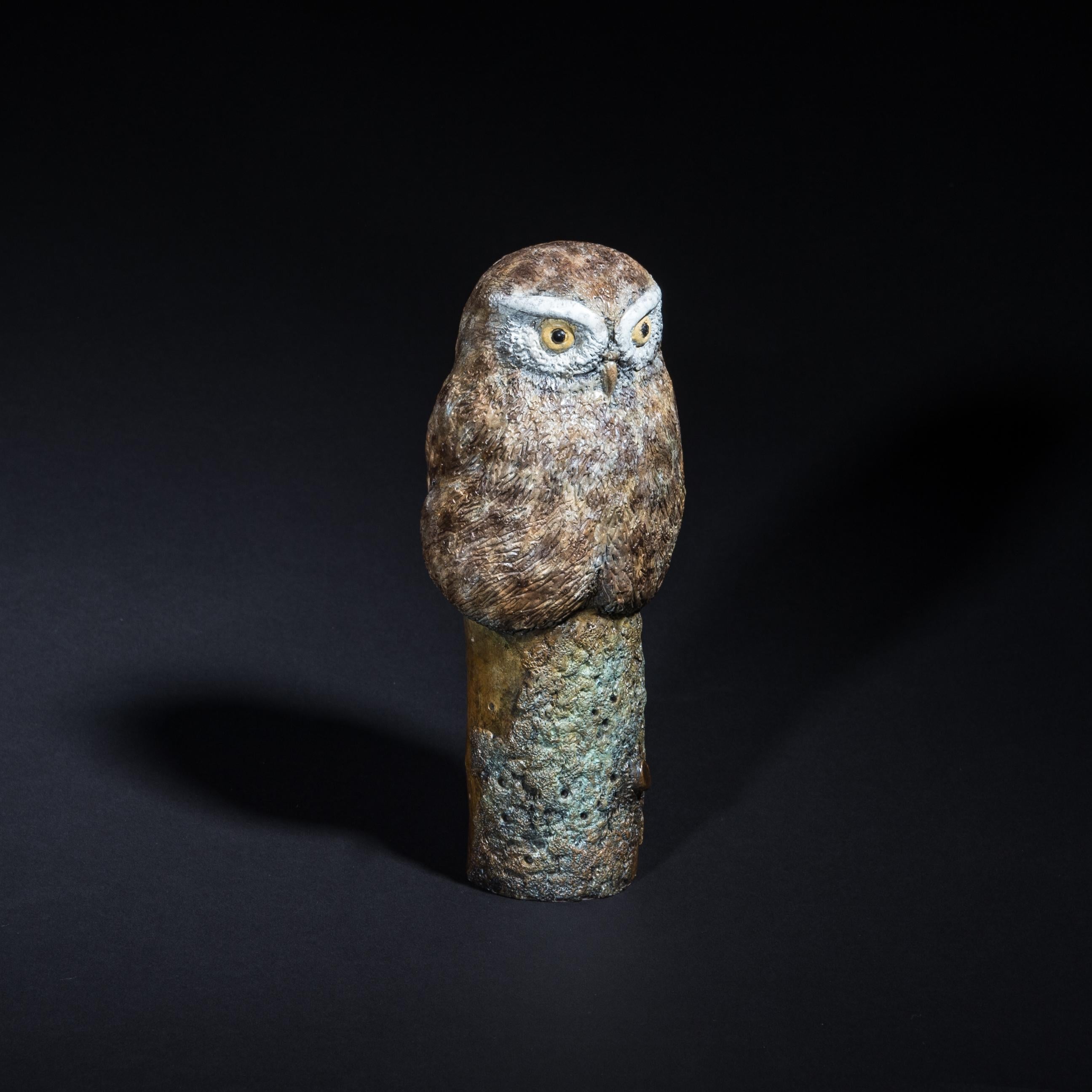 Sculpture de bureau contemporaine en bronze Petite chouette, faune, nature, animaux oiseaux en vente 4