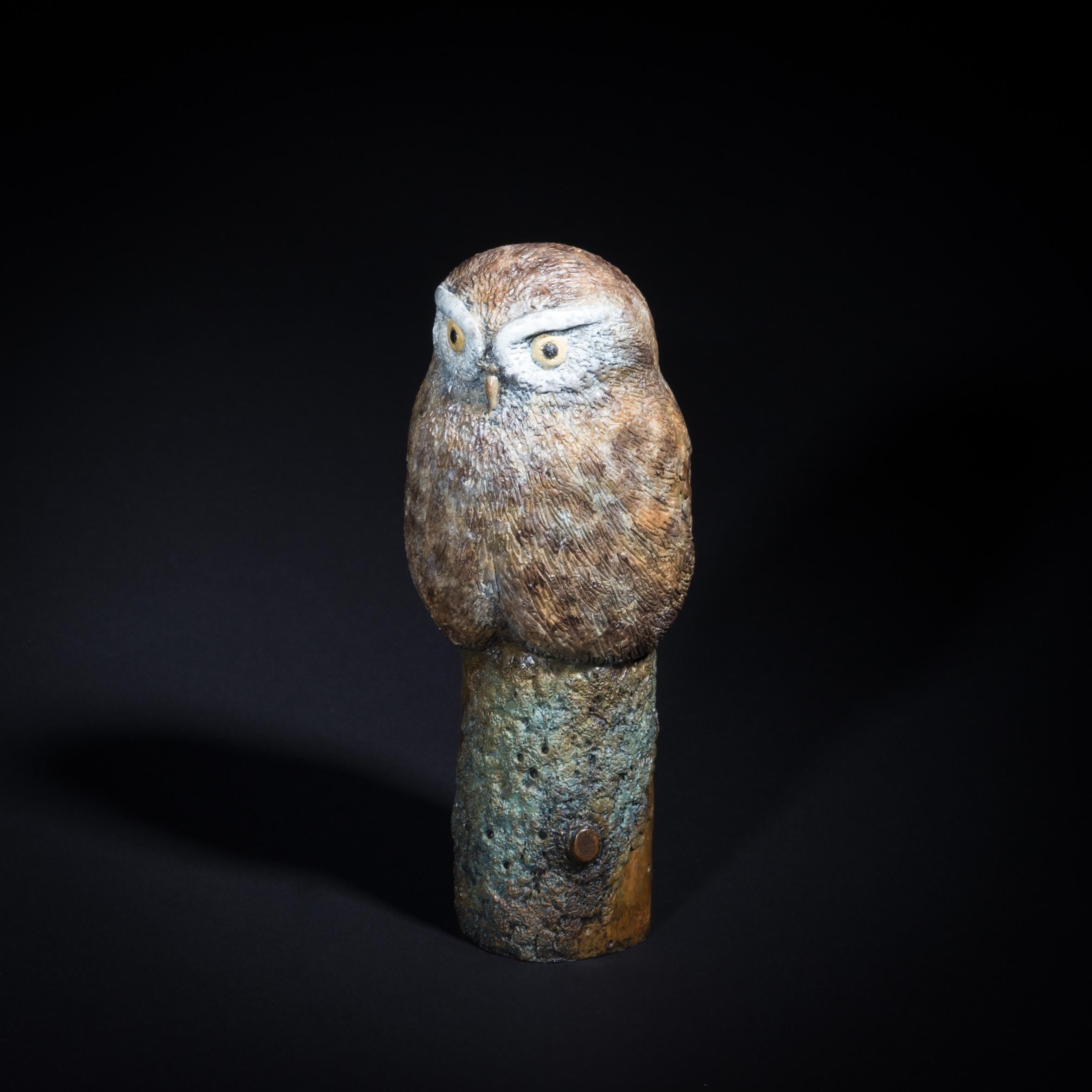 Sculpture de bureau contemporaine en bronze Petite chouette, faune, nature, animaux oiseaux en vente 5