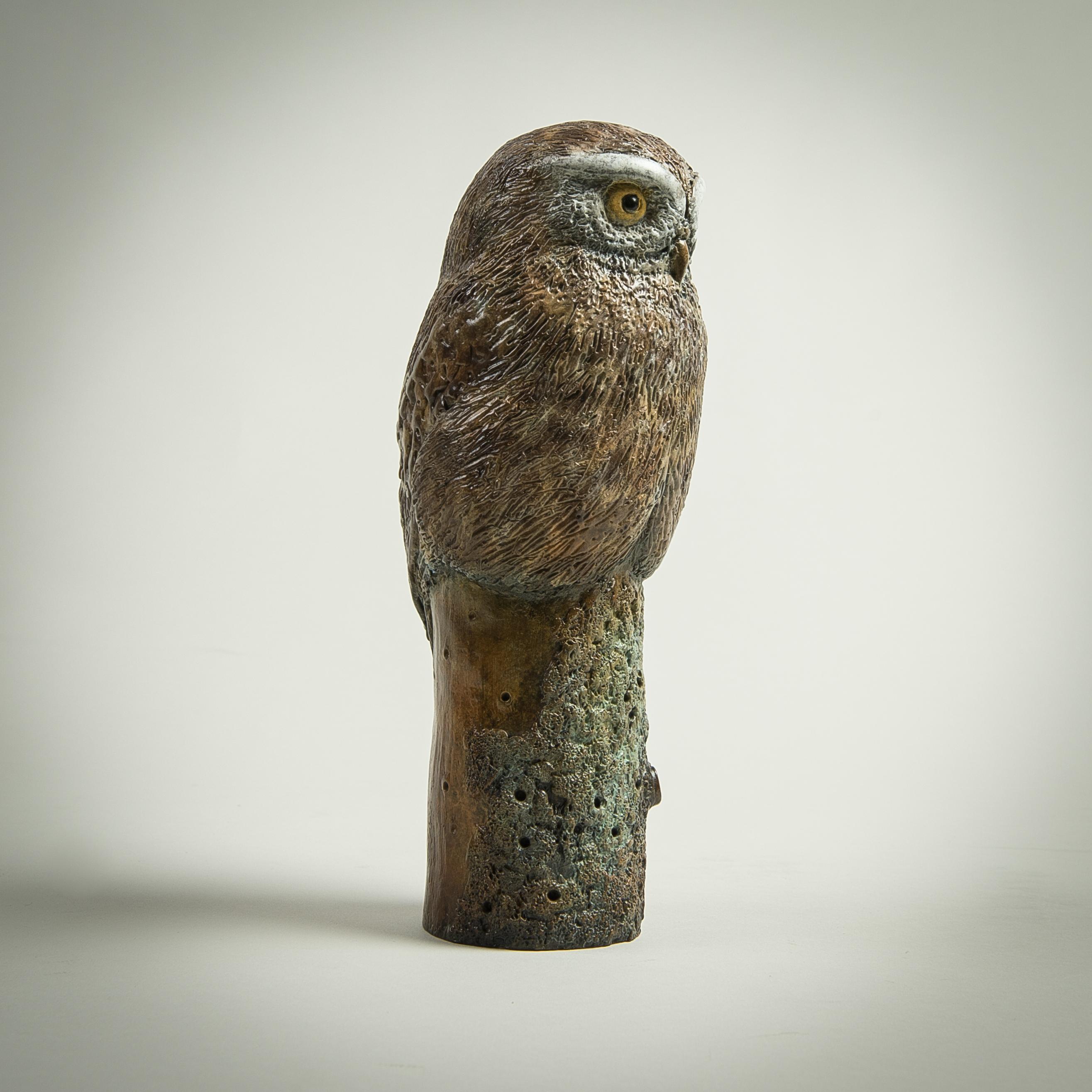 Sculpture de bureau contemporaine en bronze Petite chouette, faune, nature, animaux oiseaux