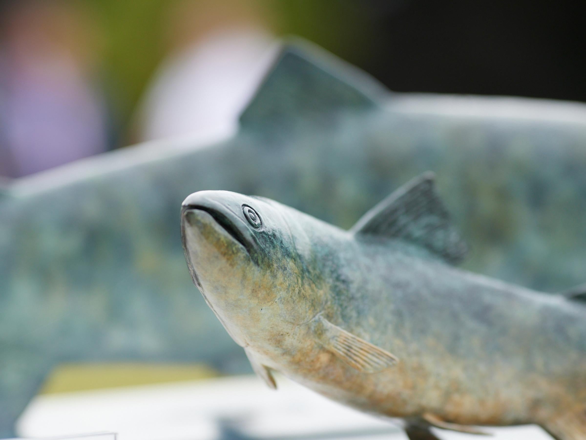 Sculpture de poisson contemporaine en bronze représentant une truite nageant dans l'eau, verte et brune en vente 4