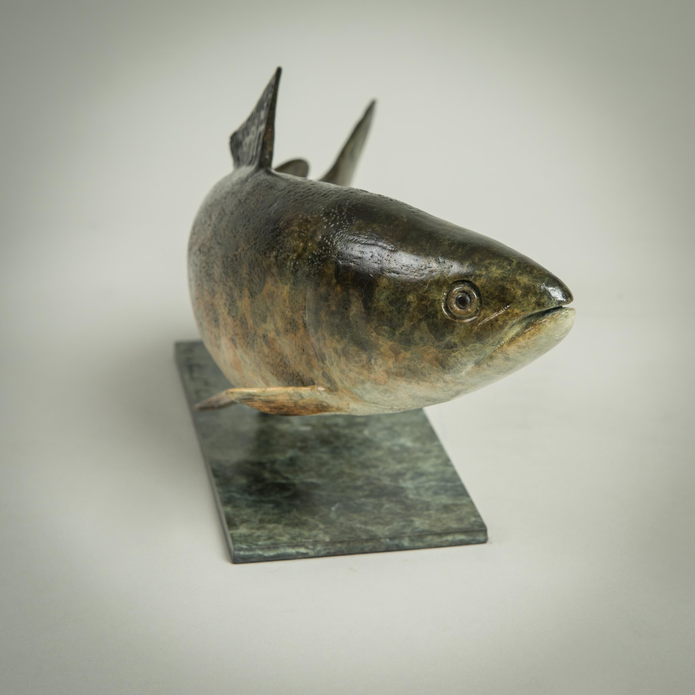 Contemporary Bronze Green Swimming Fish Sculpture 'Trout' by Richard Smith  For Sale 1