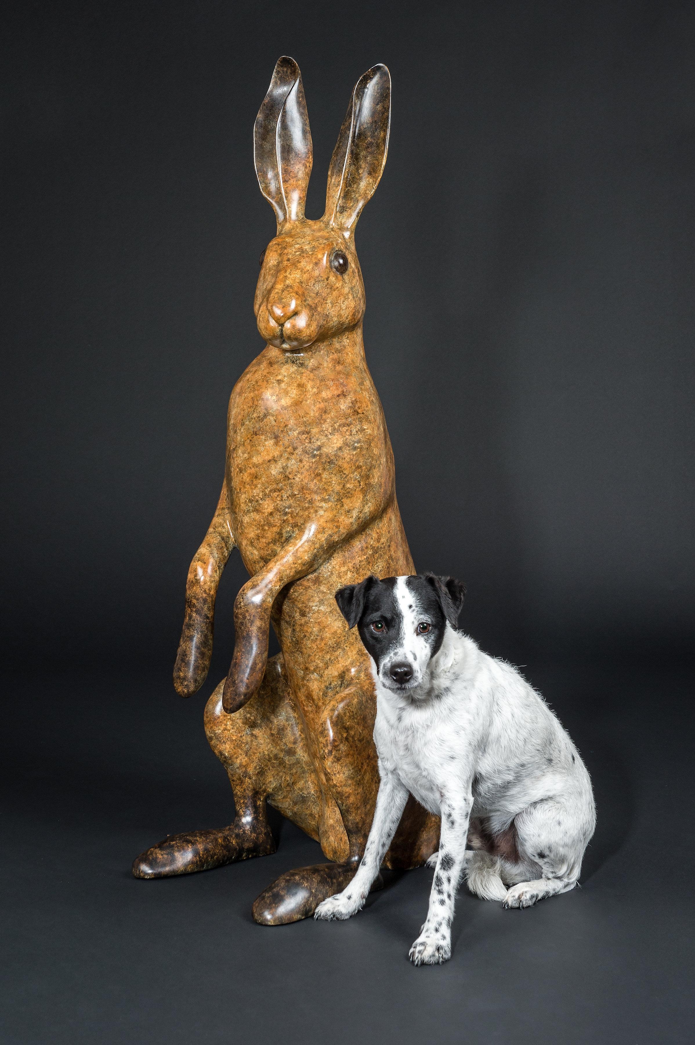 Grande sculpture de jardin contemporaine en bronze « Majestic Hare » d'un lapin/un harnais - Contemporain Sculpture par Richard Smith b.1955