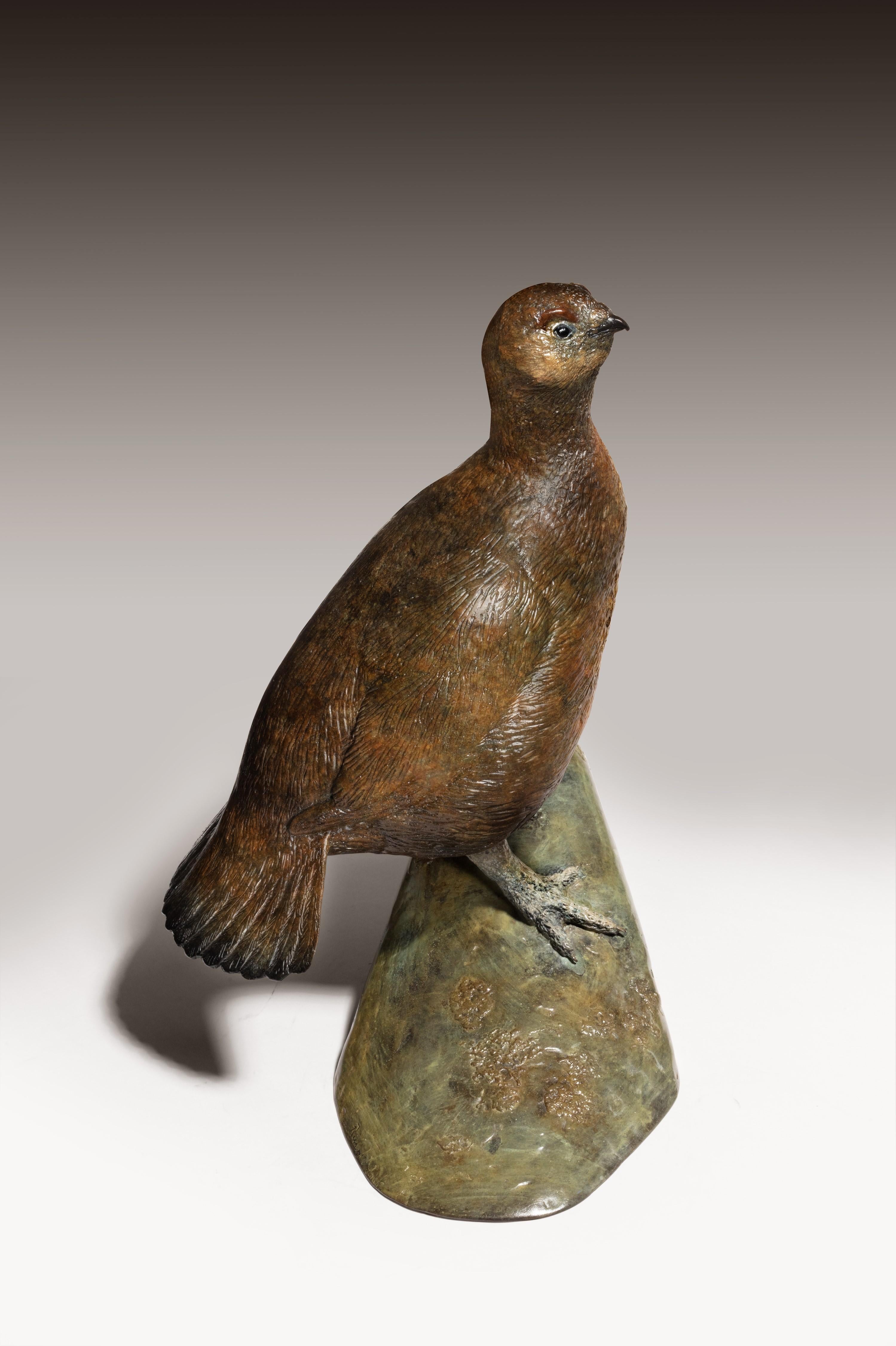 Escultura contemporánea de bronce de un urogallo británico, ave de caza, fauna, naturaleza en venta 5