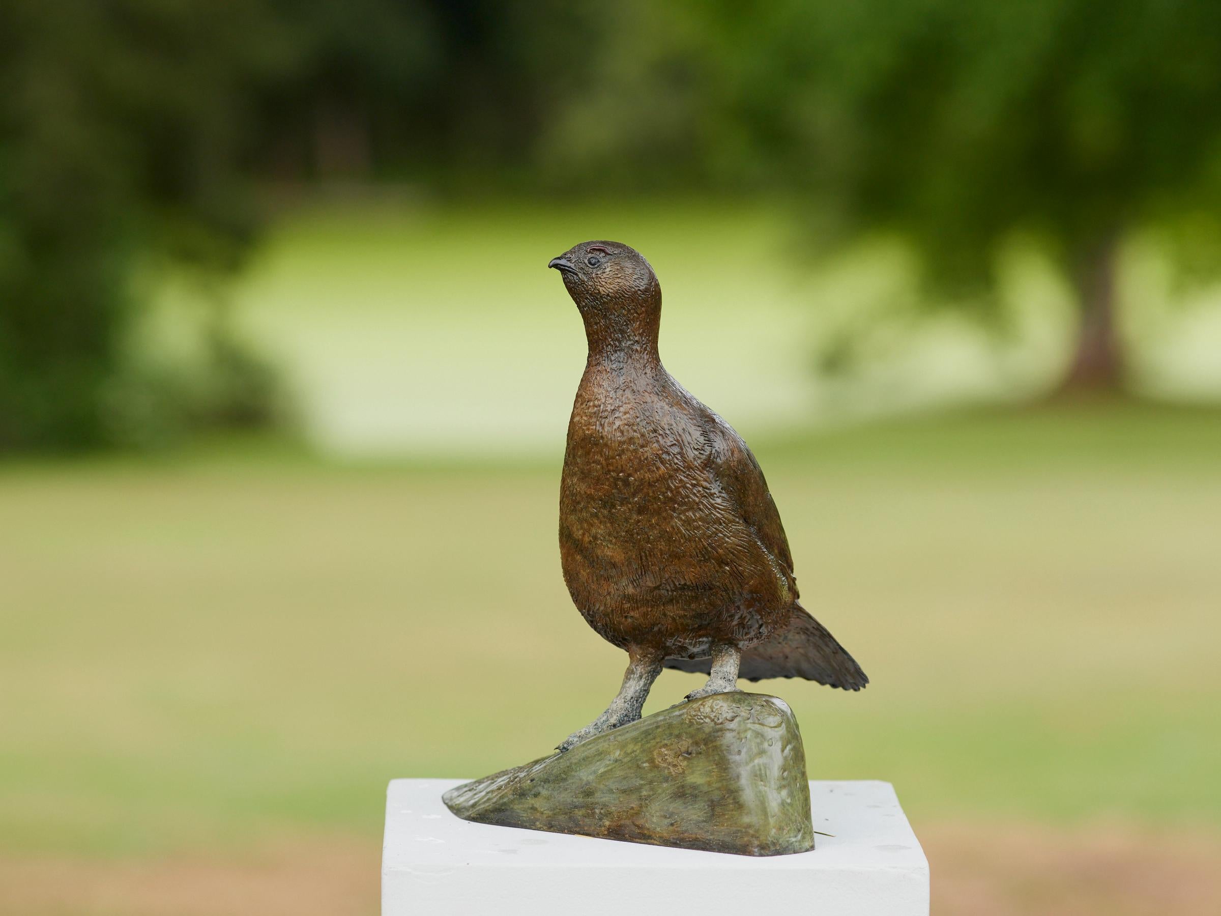Escultura contemporánea de bronce de un urogallo británico, ave de caza, fauna, naturaleza - Sculpture Contemporáneo de Richard Smith b.1955