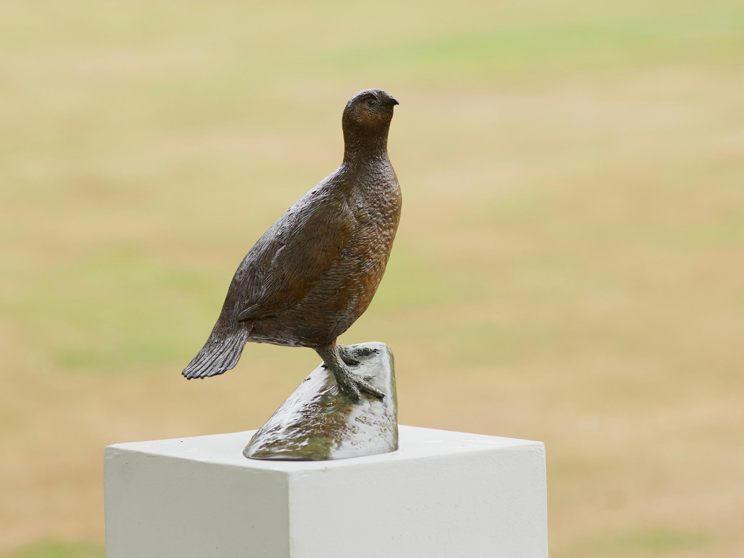 Escultura contemporánea de bronce de un urogallo británico, ave de caza, fauna, naturaleza - Still-Life Sculpture Oro de Richard Smith b.1955