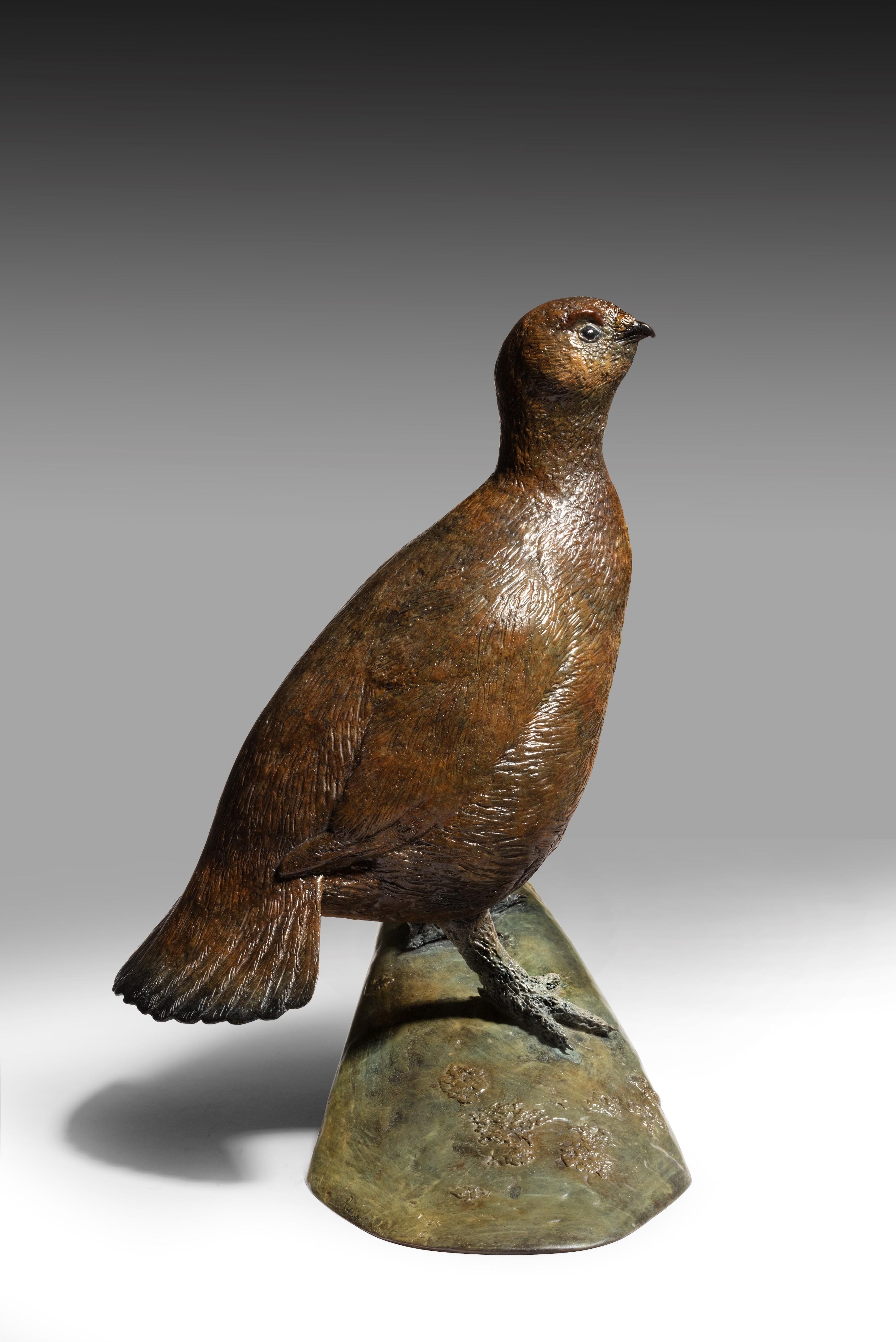 Escultura contemporánea de bronce de un urogallo británico, ave de caza, fauna, naturaleza en venta 4