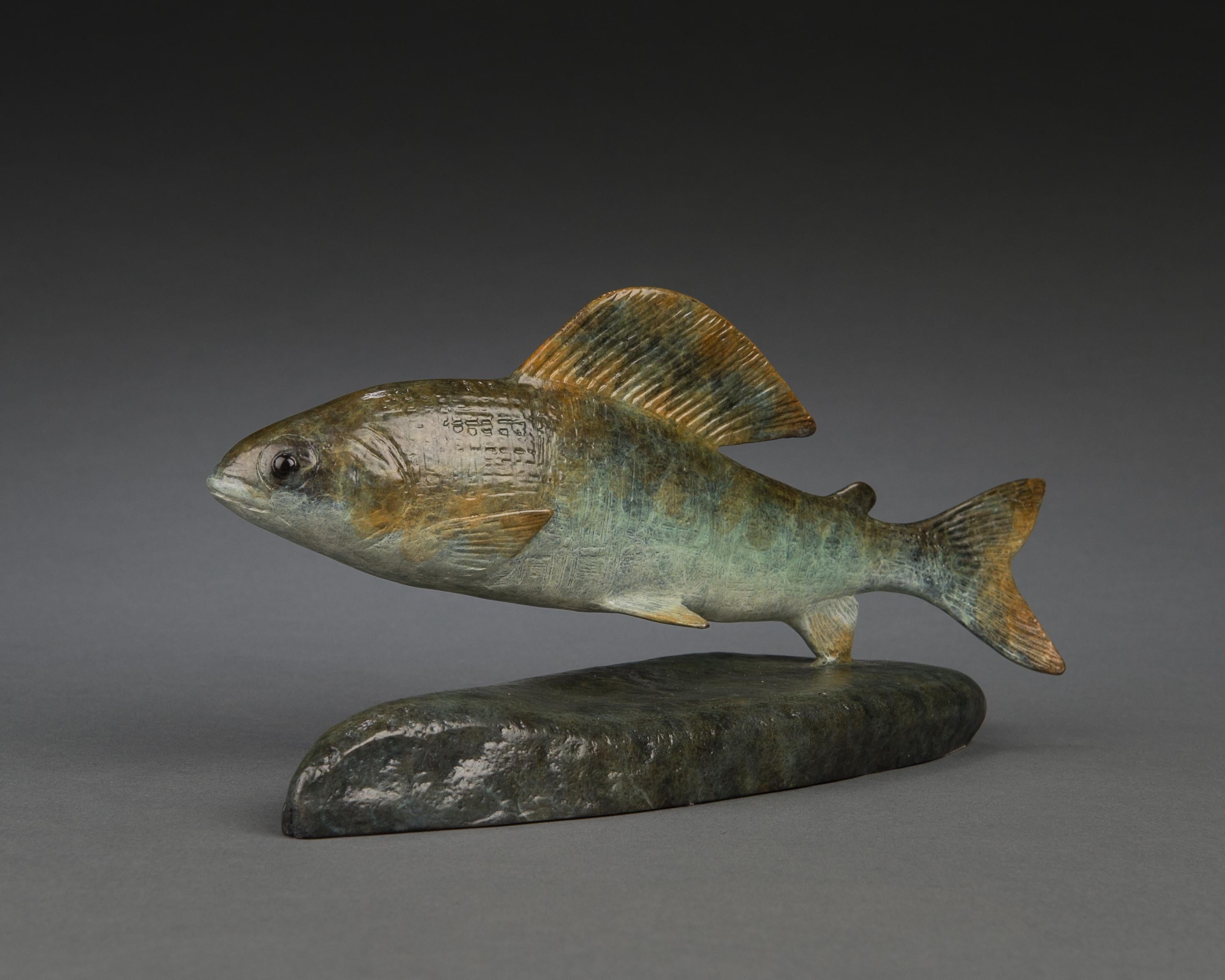 Auflage von 25 Stück
Die wunderschöne Bronzeskulptur einer kleinen Äsche von Richard Smith, die mit einer grün-braunen Patina überzogen ist, fängt den zarten Charme dieses kleinen Süßwasserfisches wunderbar ein. Der Bildhauer gibt den schlanken